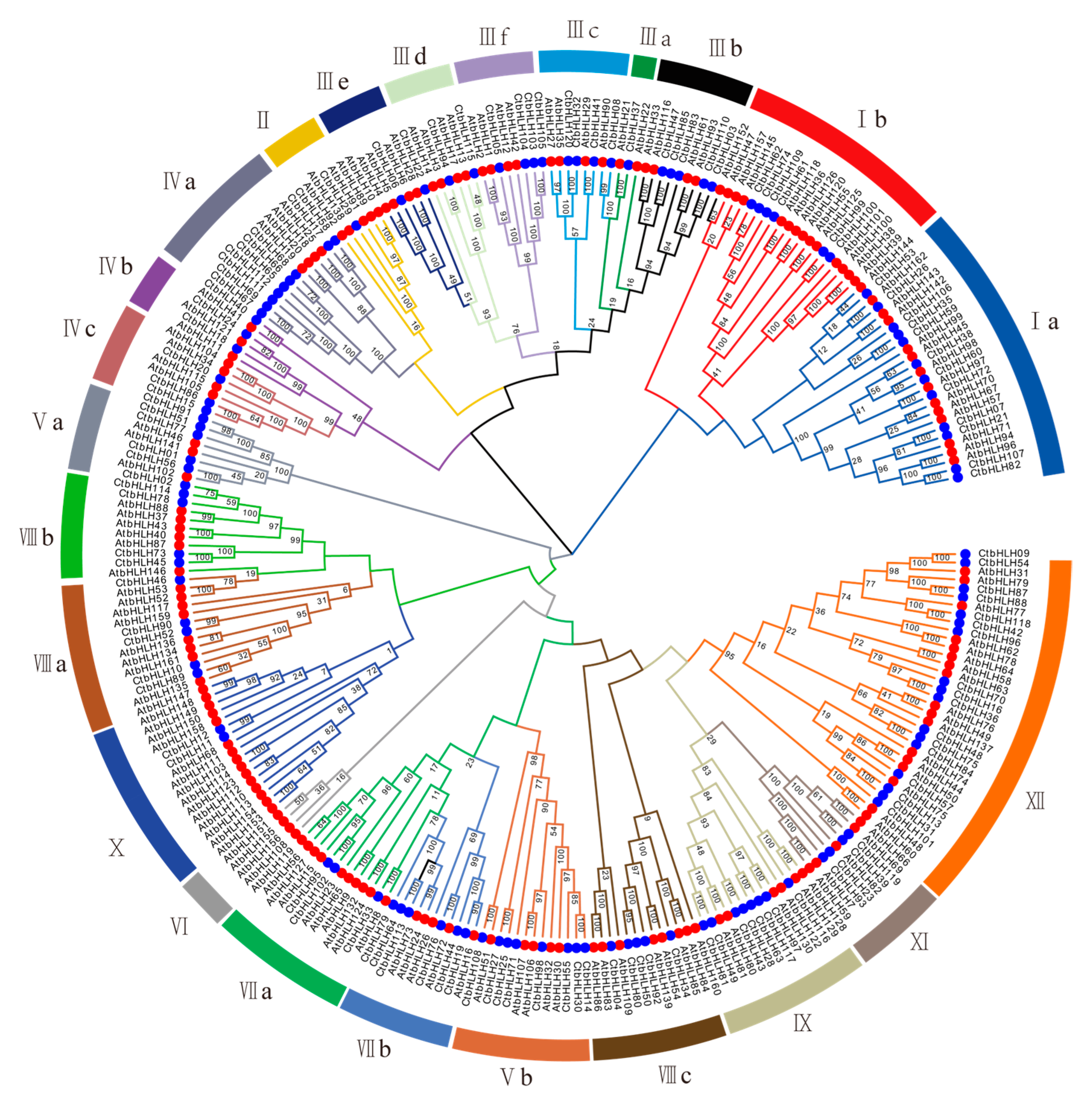 Plants 12 03764 g001 Plants 12 03764 g001