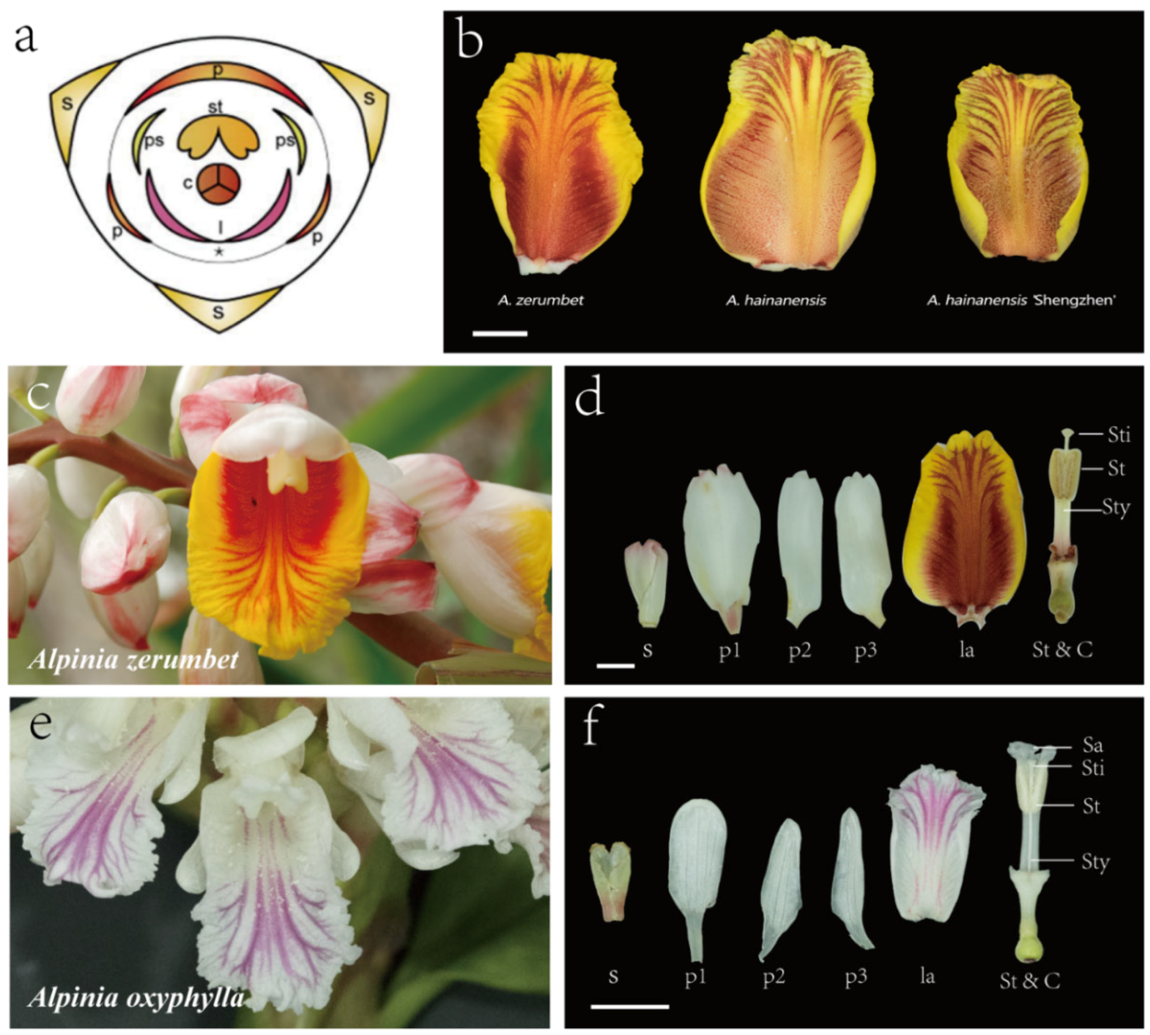 Plants 12 03766 g001