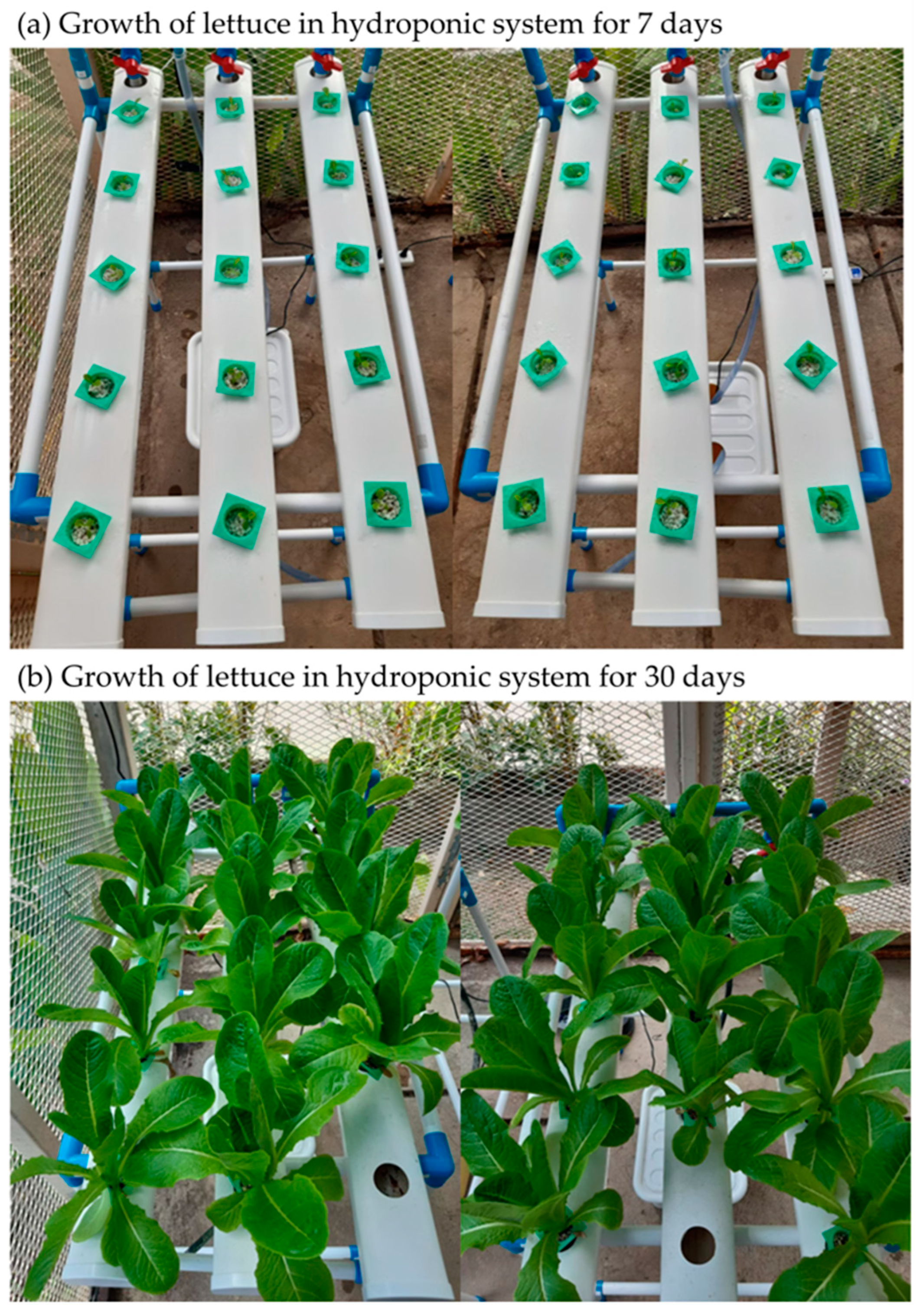 Plants 12 03793 g001