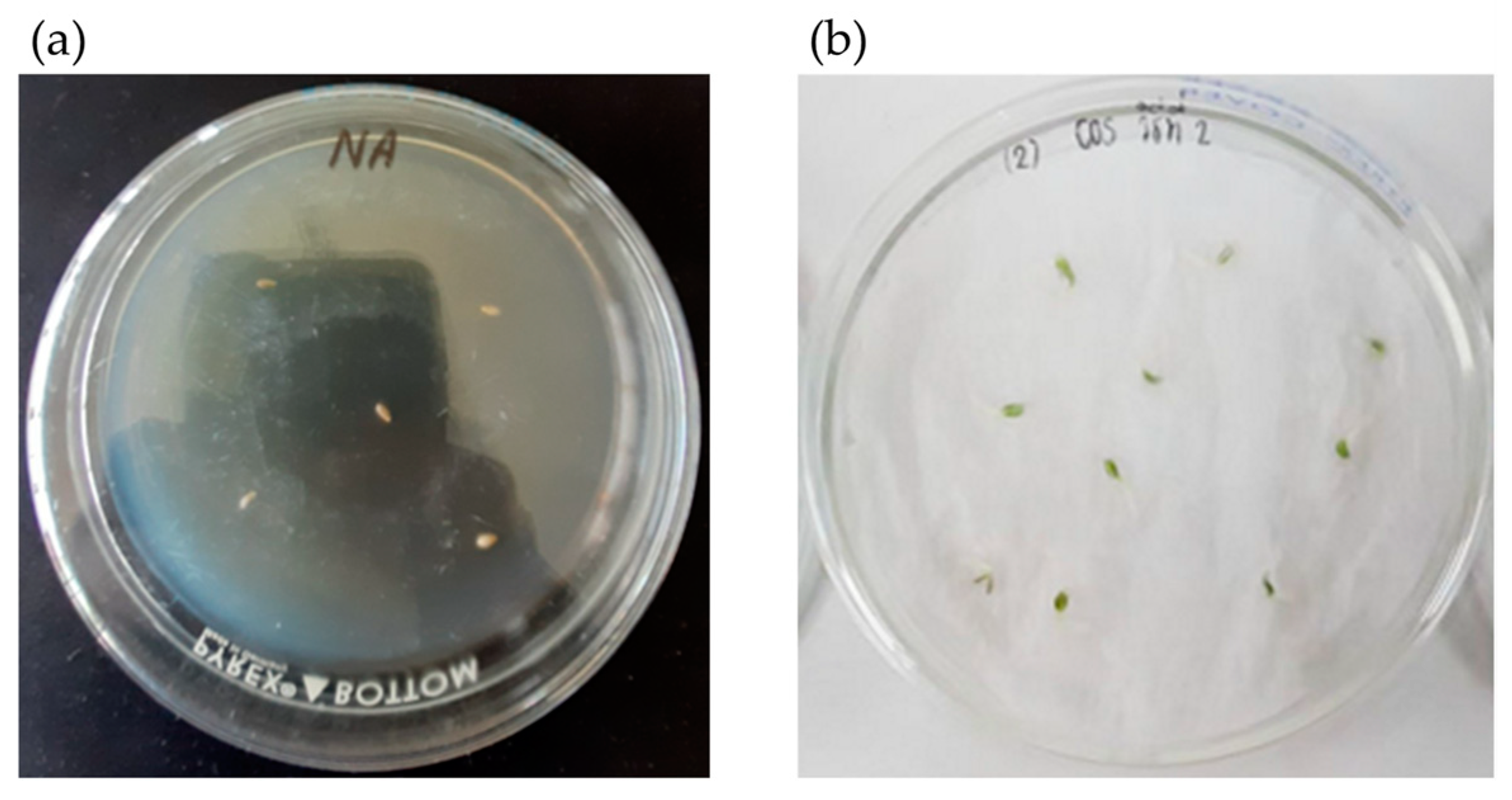 Plants 12 03793 g002