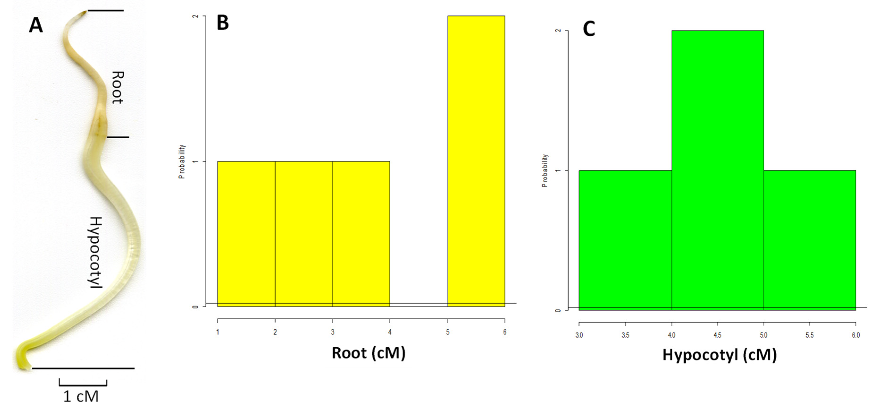 Plants 12 03807 g001 Plants 12 03807 g001