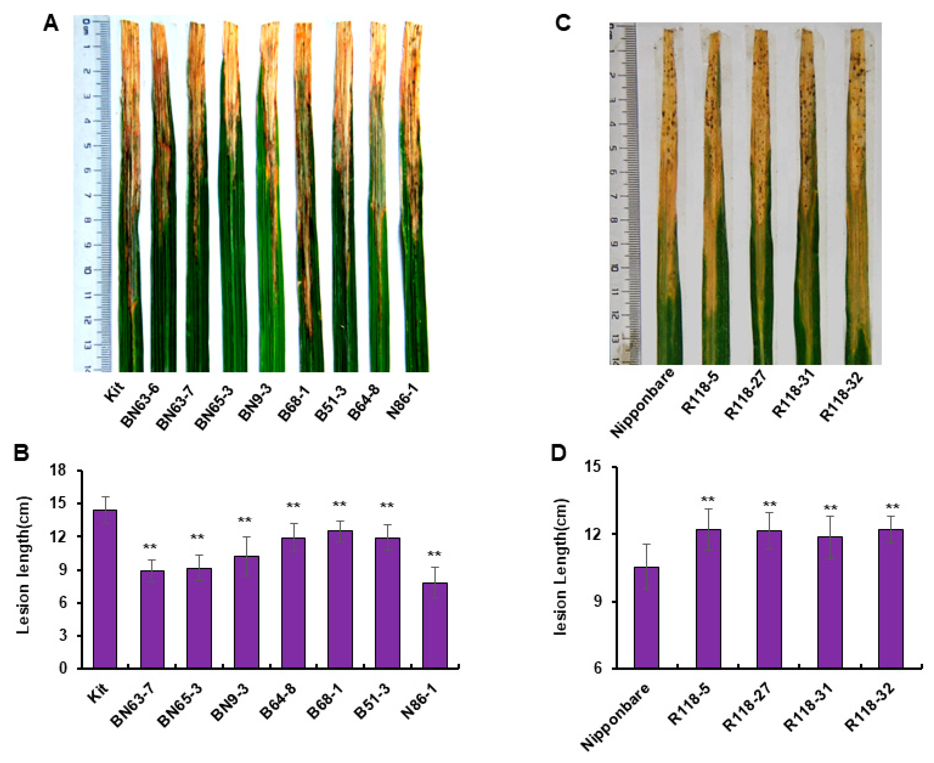 Plants 12 03815 g002