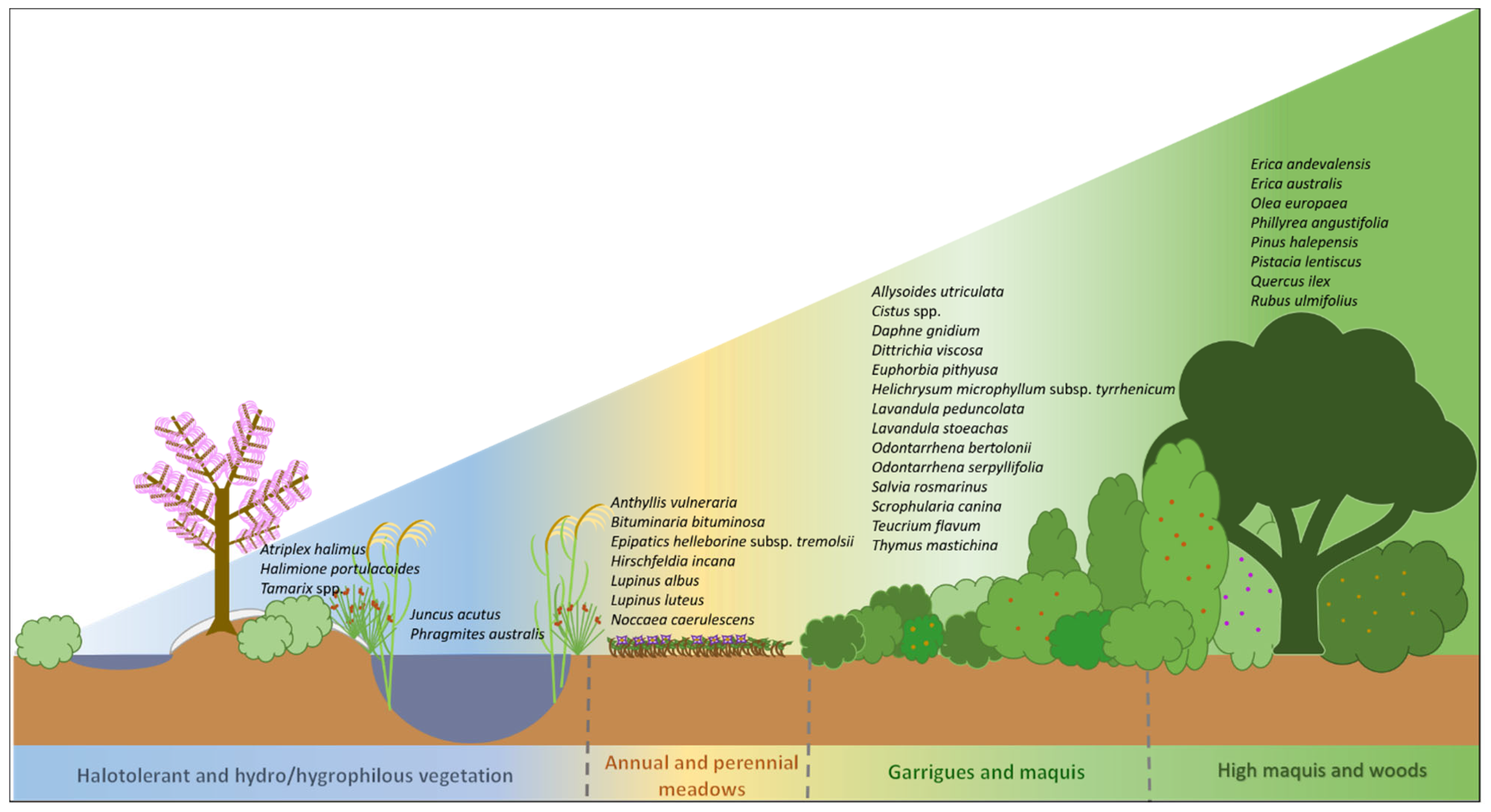 Plants 12 03823 g003 Plants 12 03823 g003