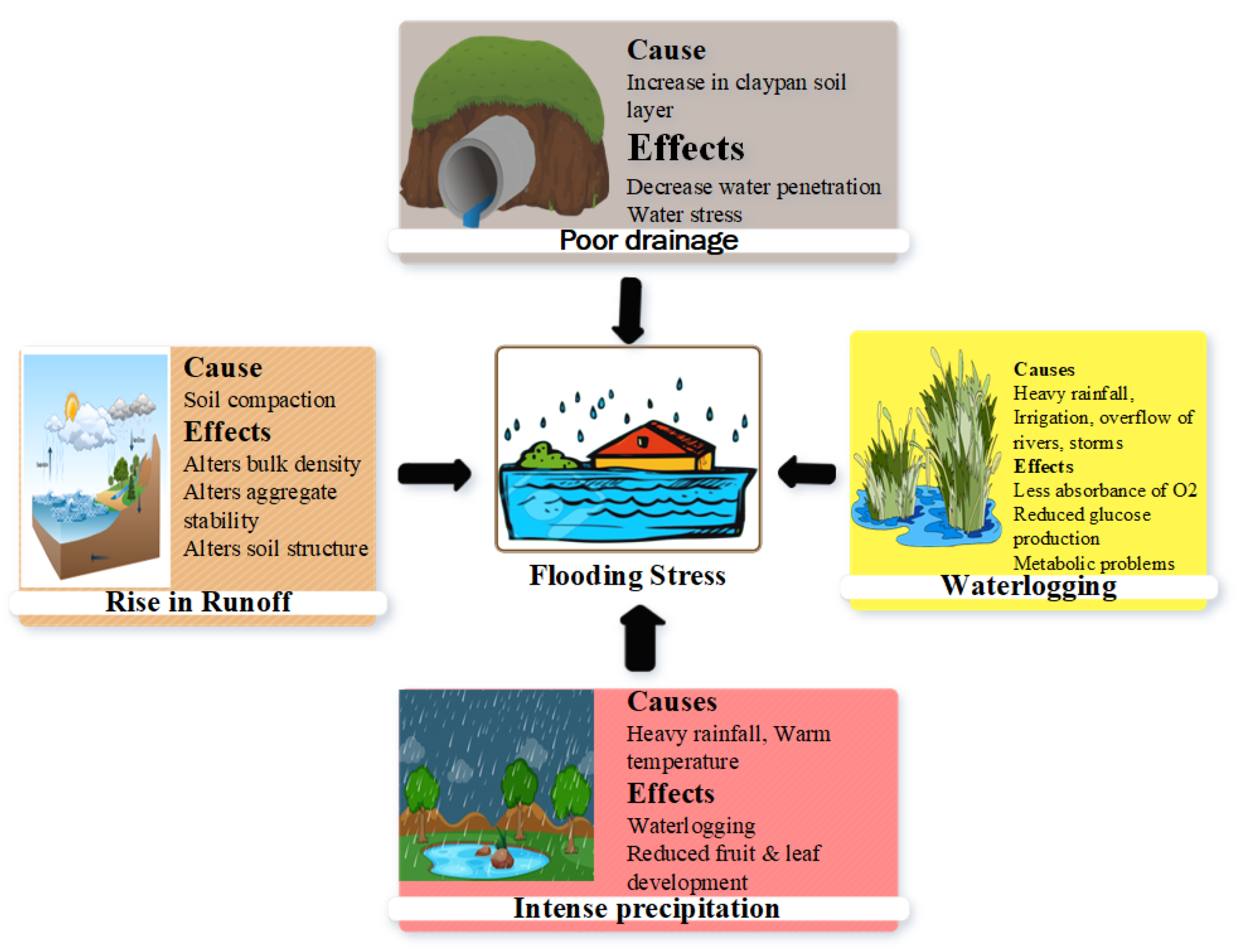 Plants 12 03824 g001