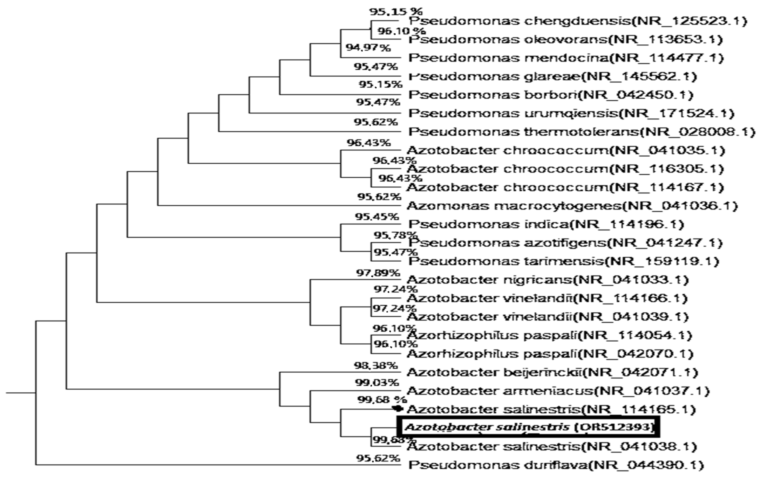 Plants 12 03830 g002 Plants 12 03830 g002