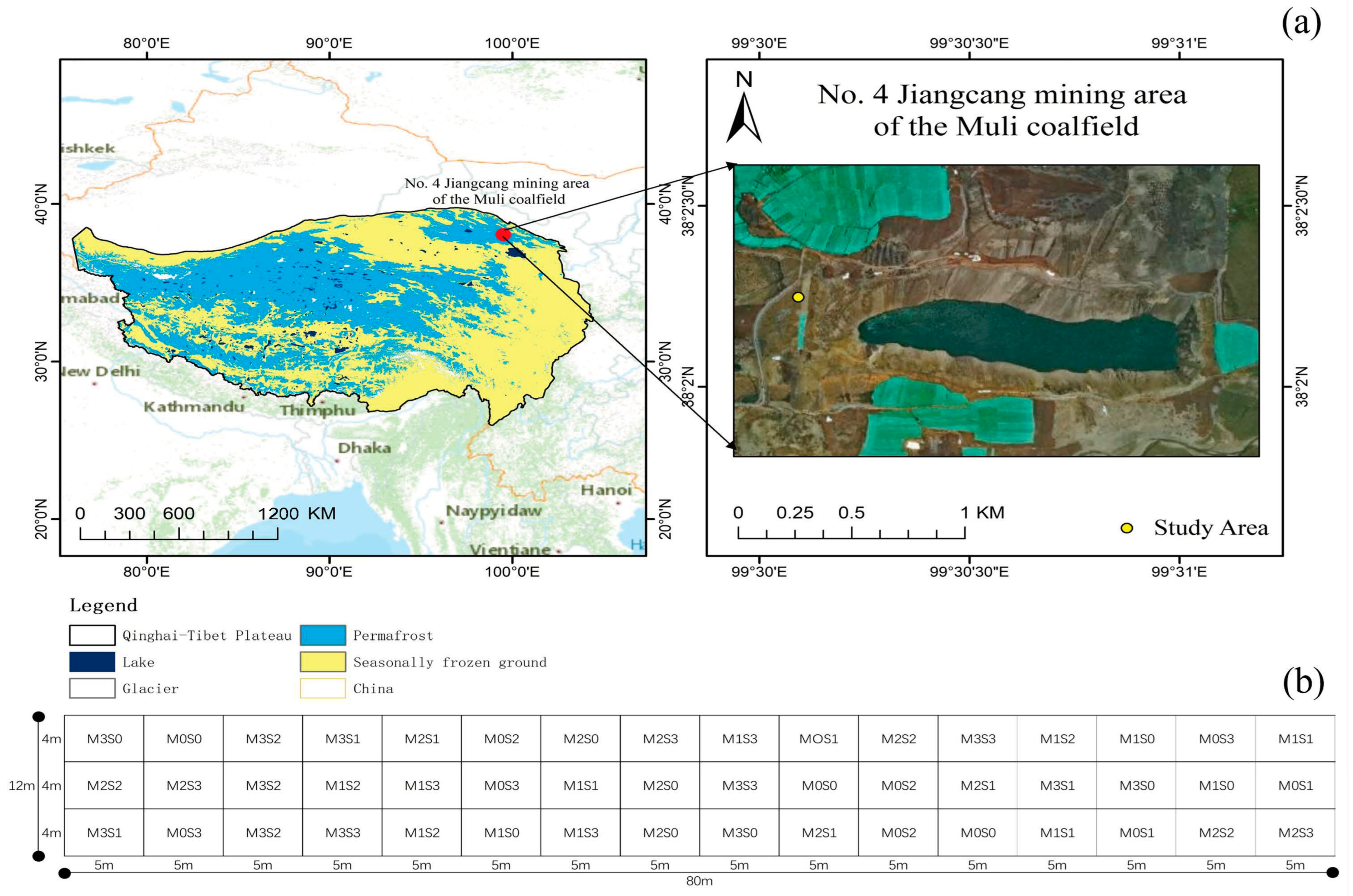 Plants 12 03838 g001