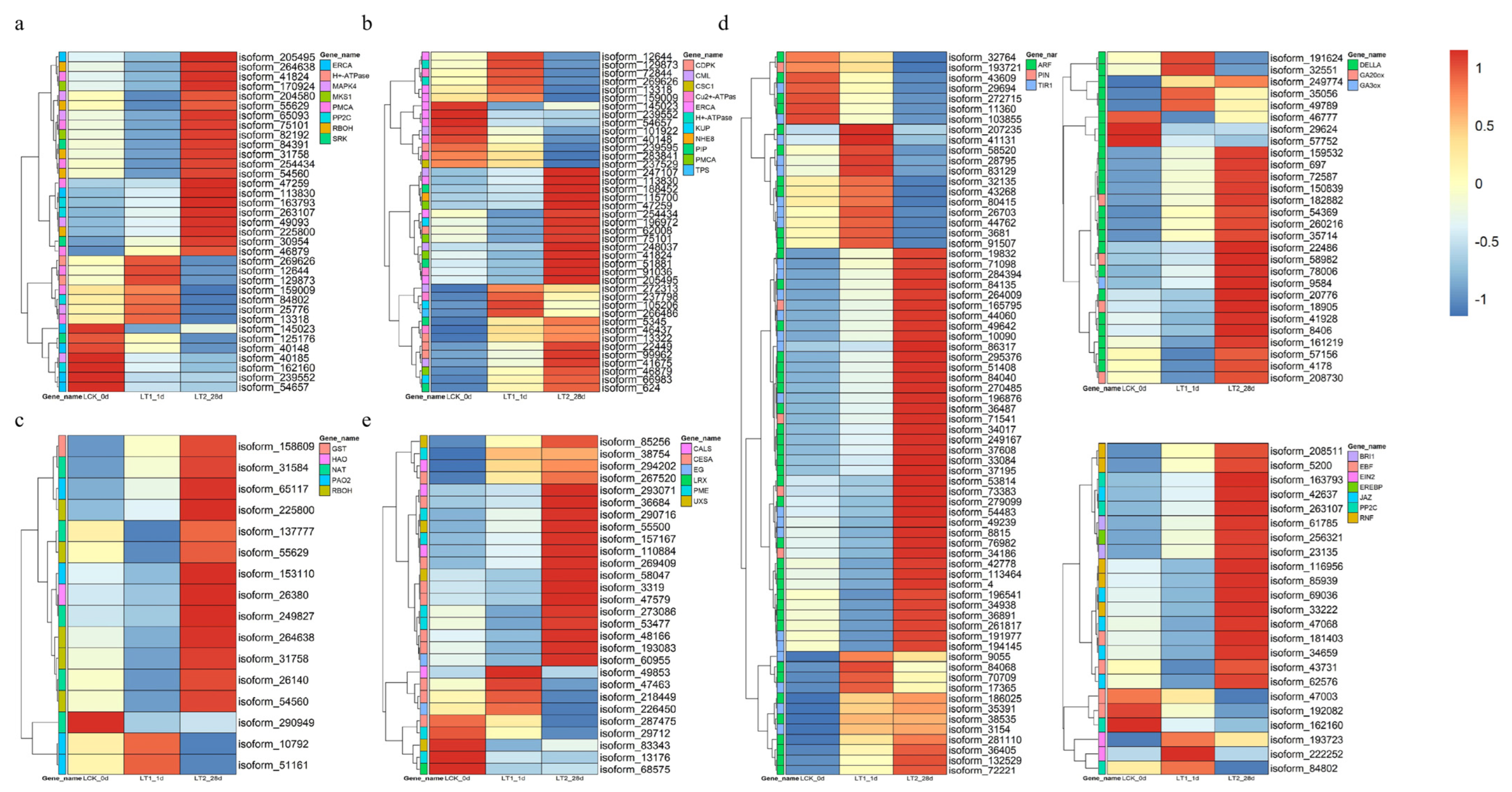 Plants 12 03849 g006