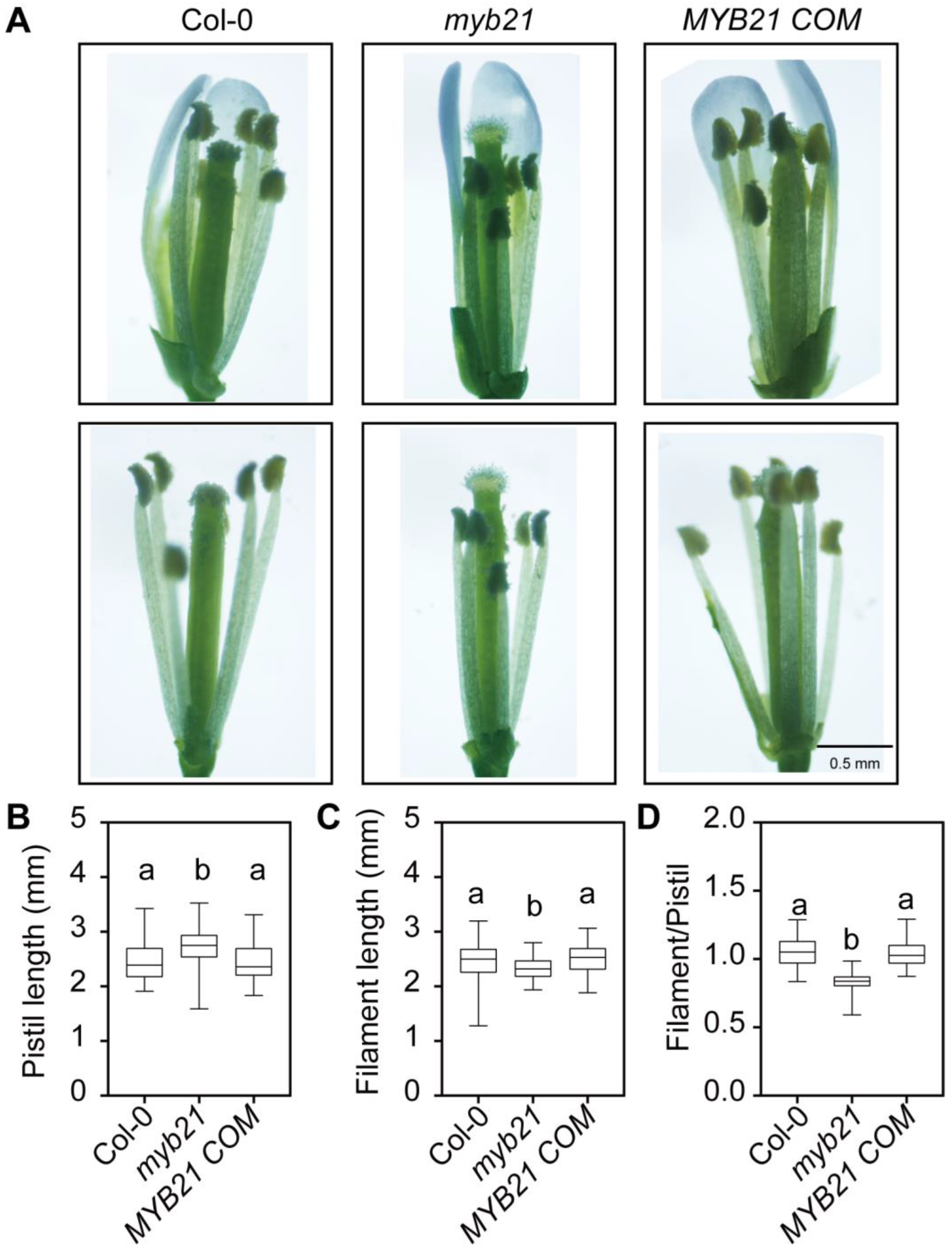 Plants 12 03884 g002
