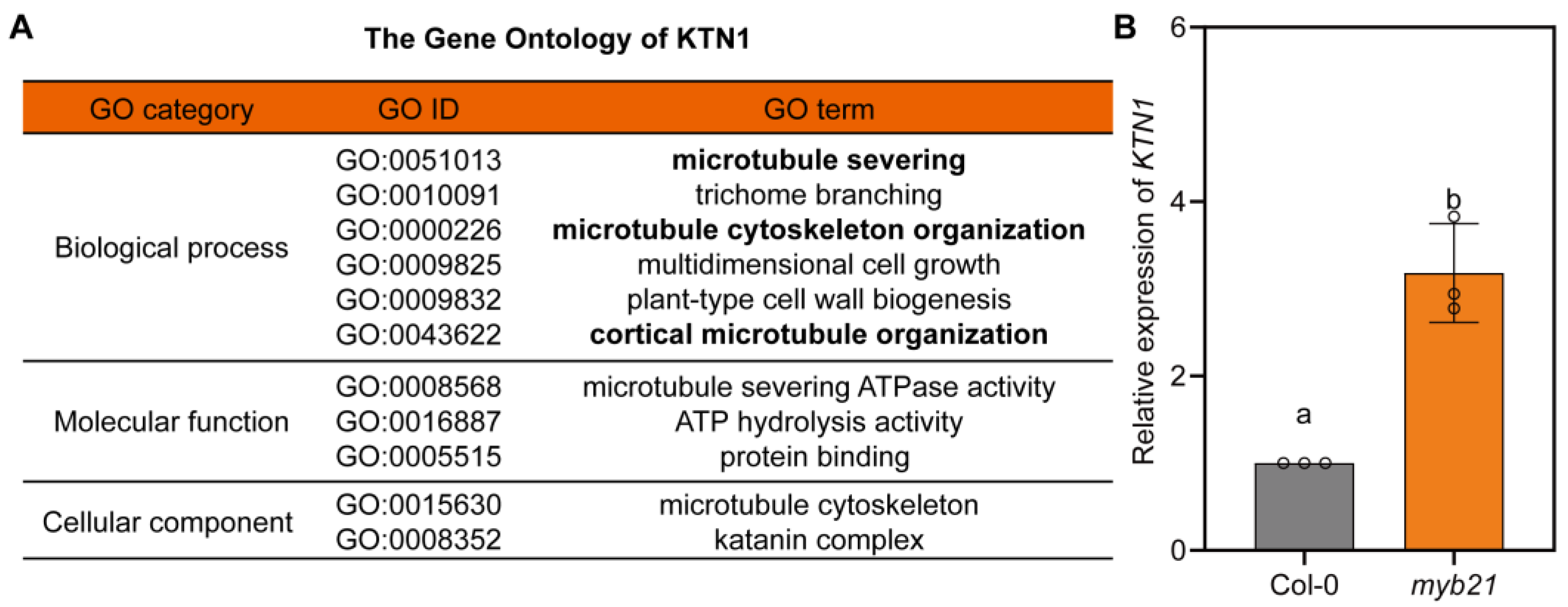 Plants 12 03884 g004