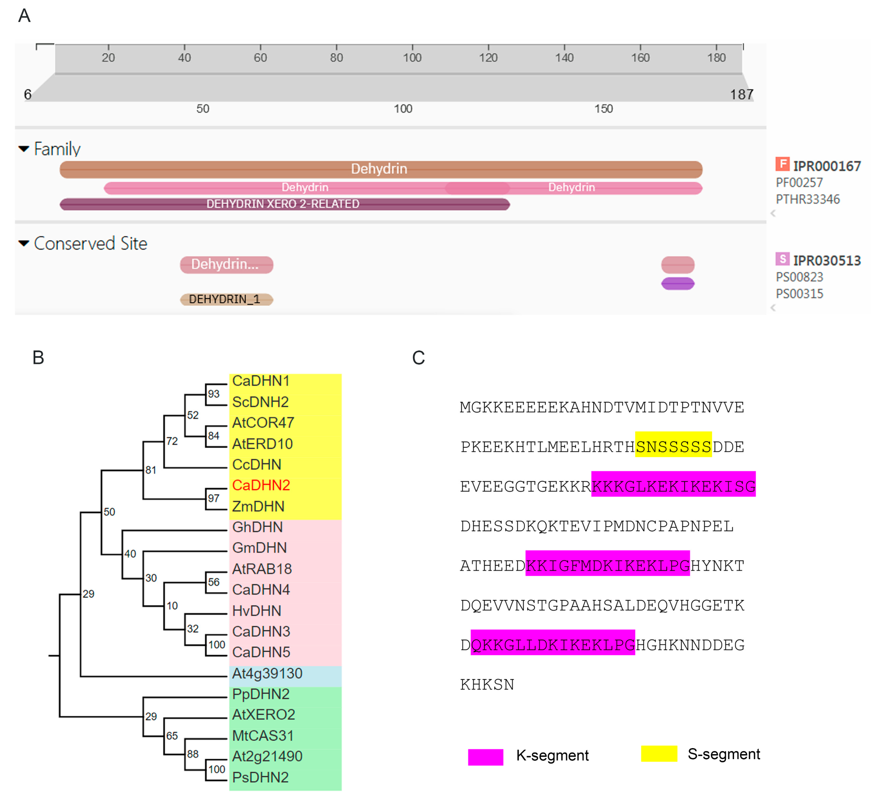 Plants 12 03895 g001