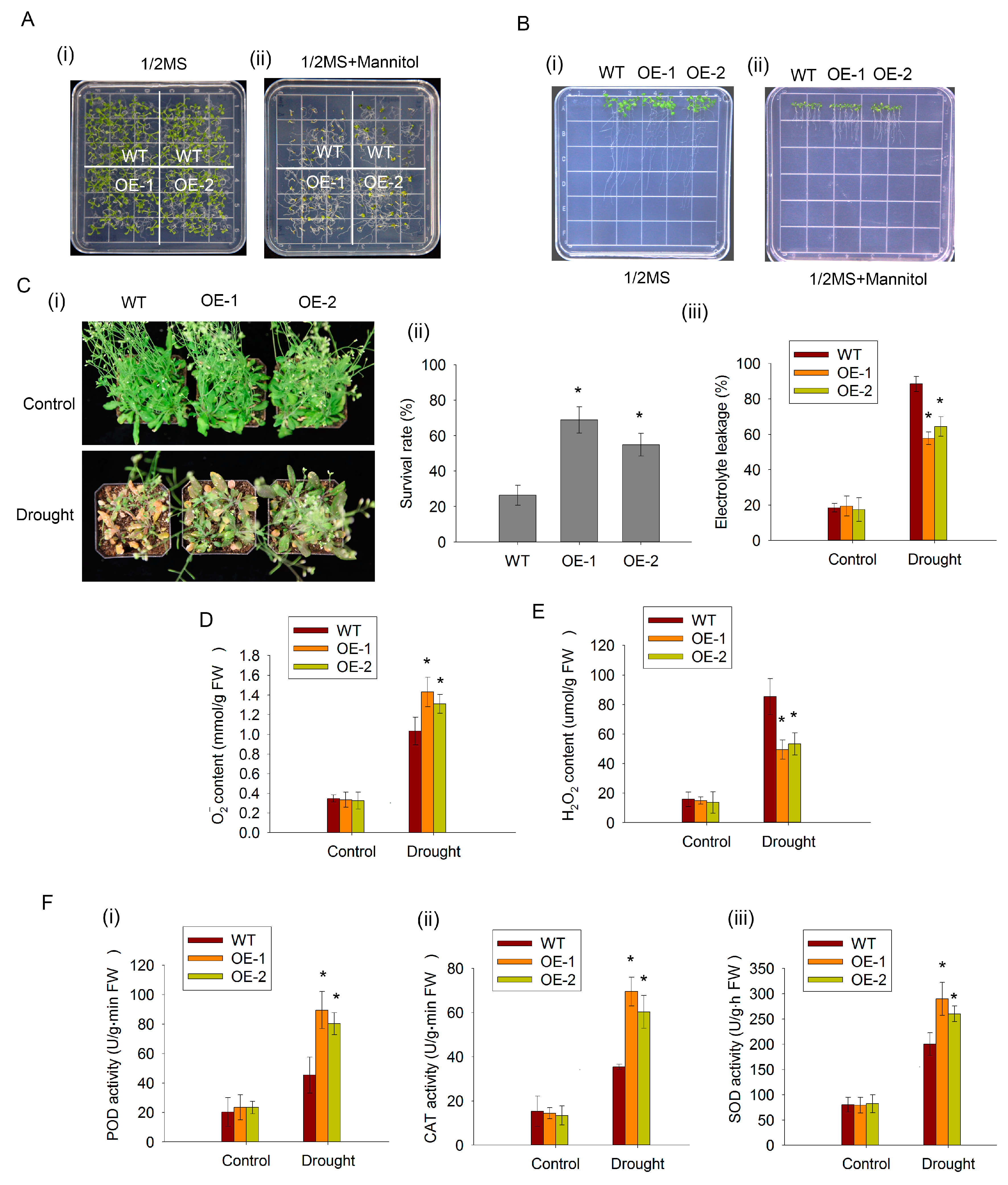 Plants 12 03895 g005
