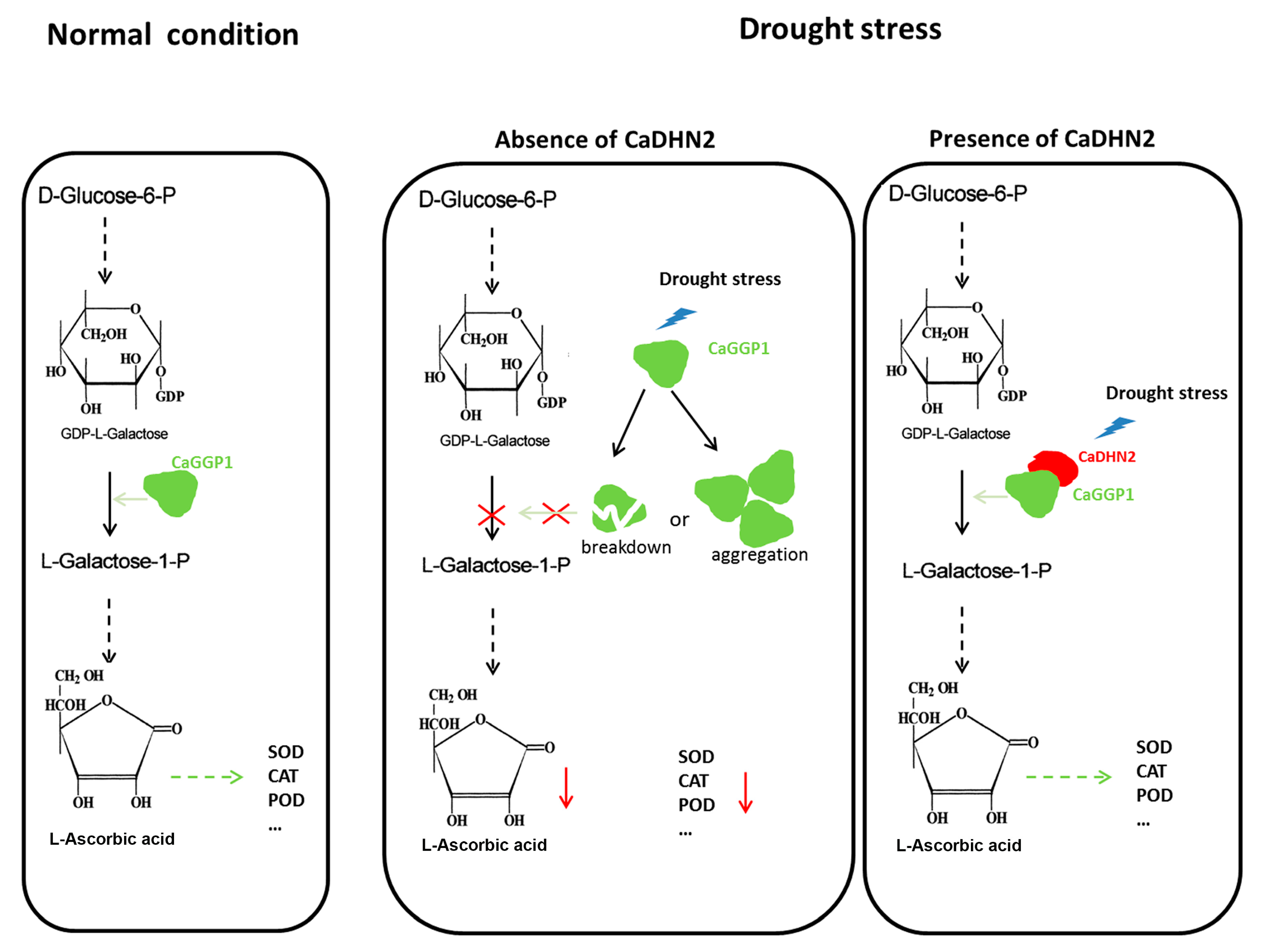 Plants 12 03895 g008