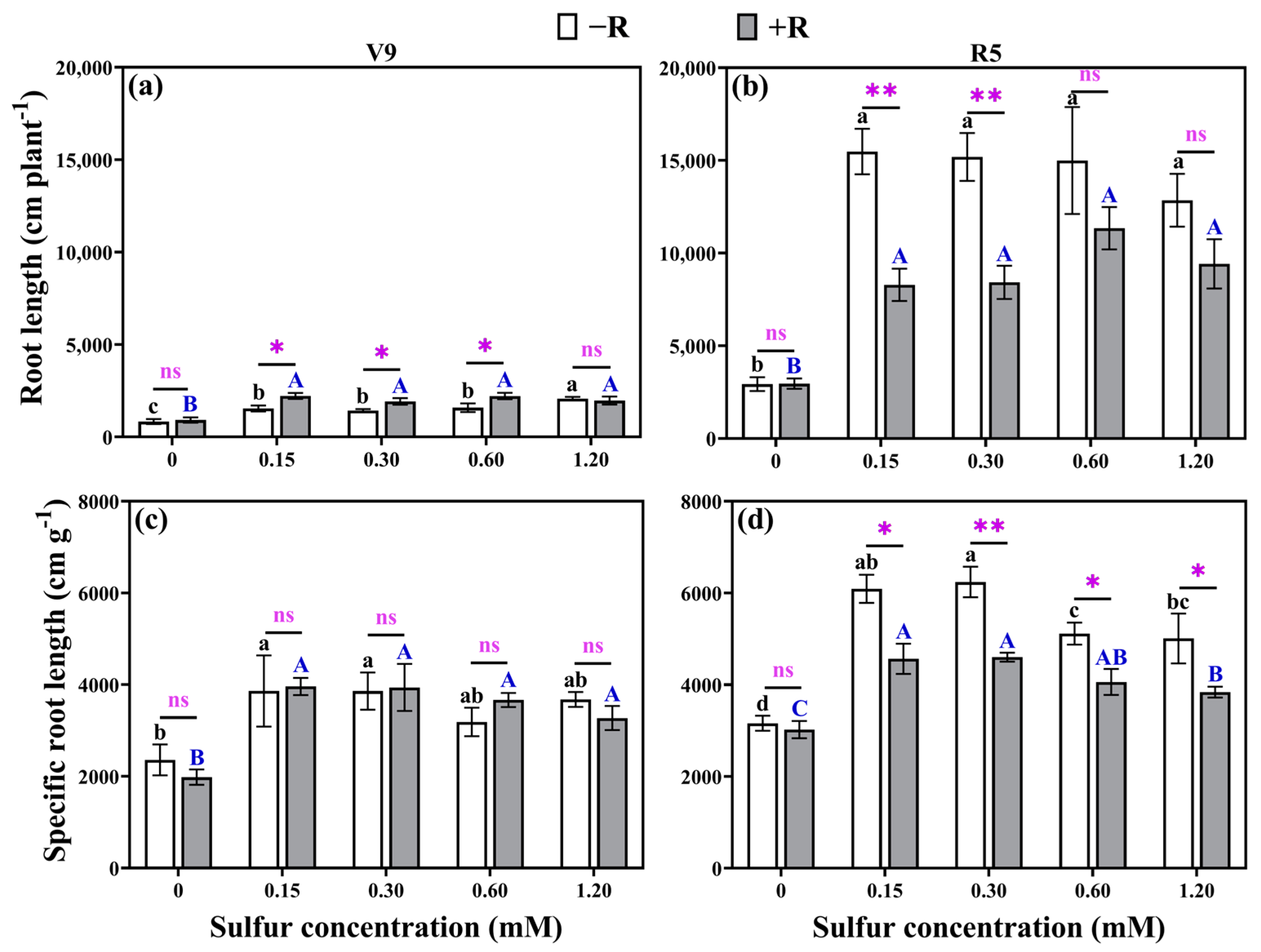 Plants 12 03911 g002