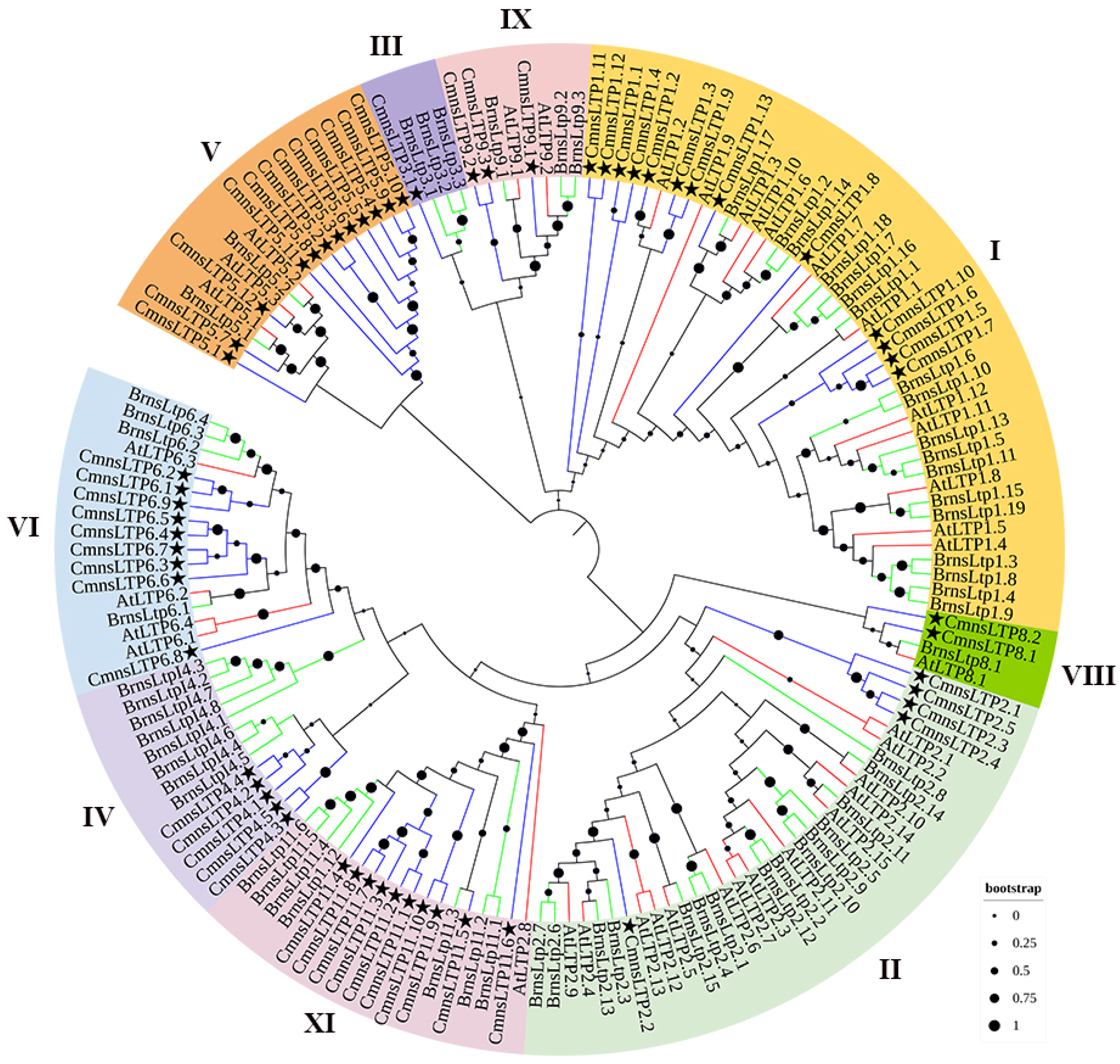 Plants 12 03916 g001