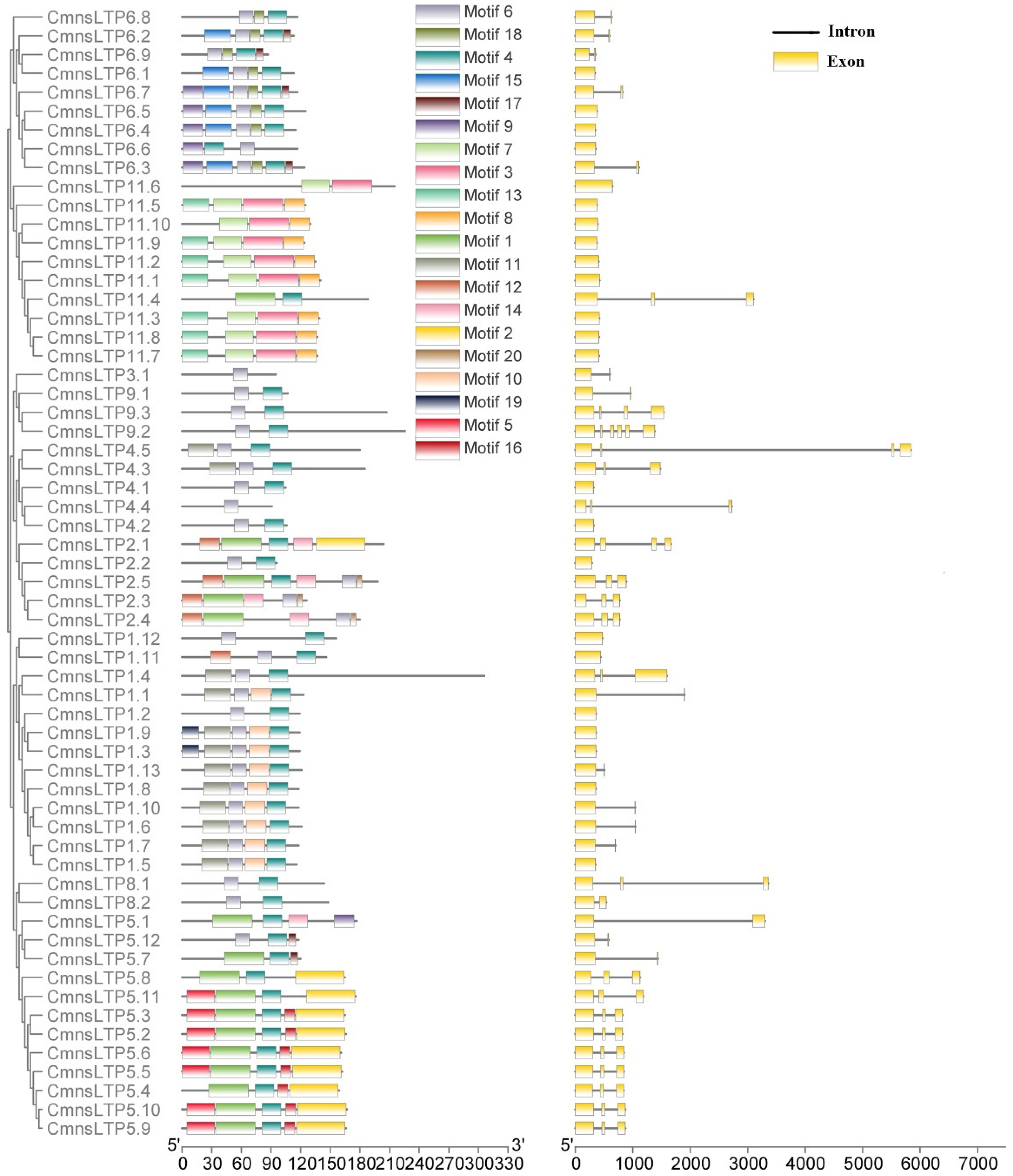 Plants 12 03916 g002