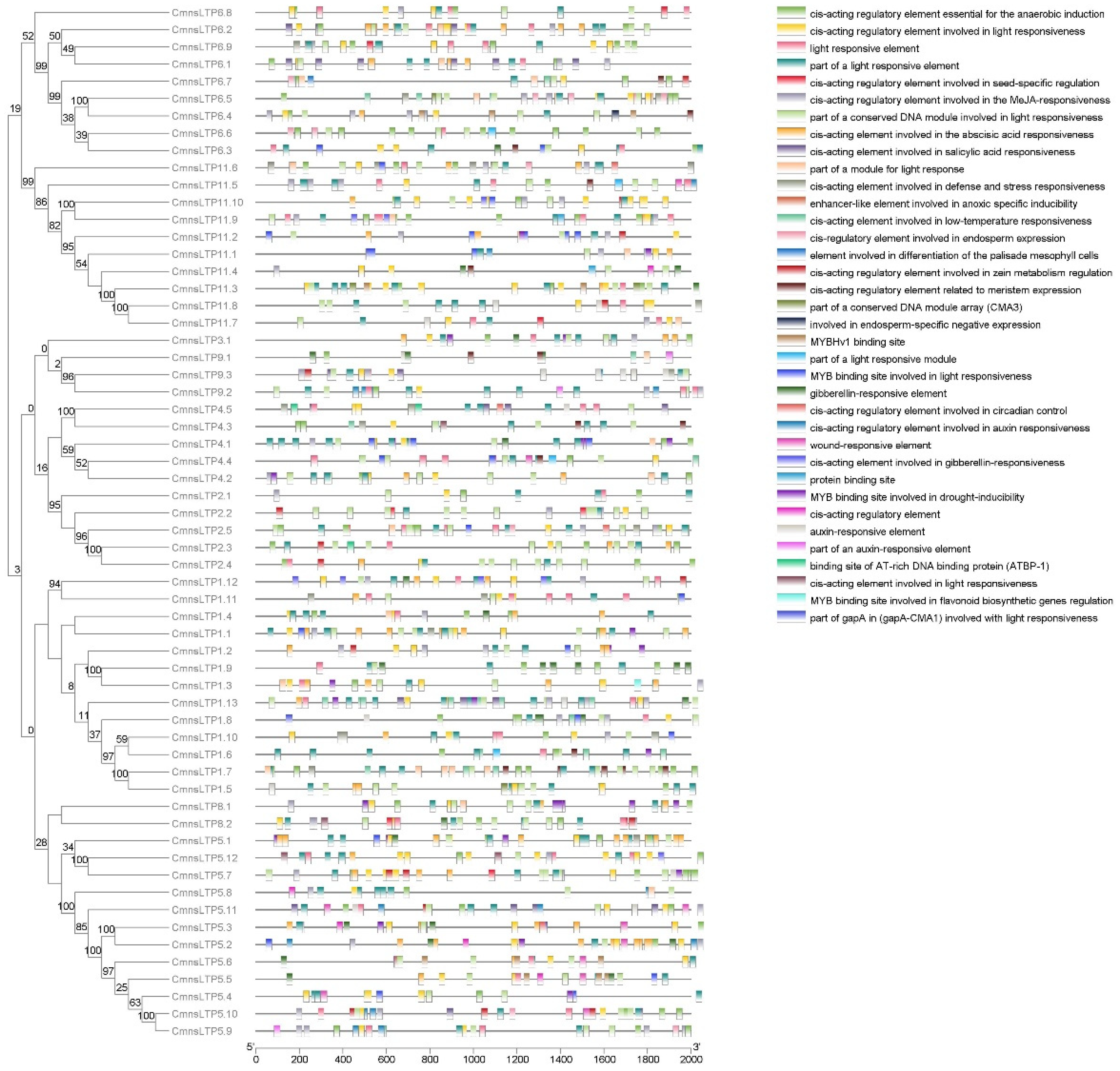 Plants 12 03916 g003