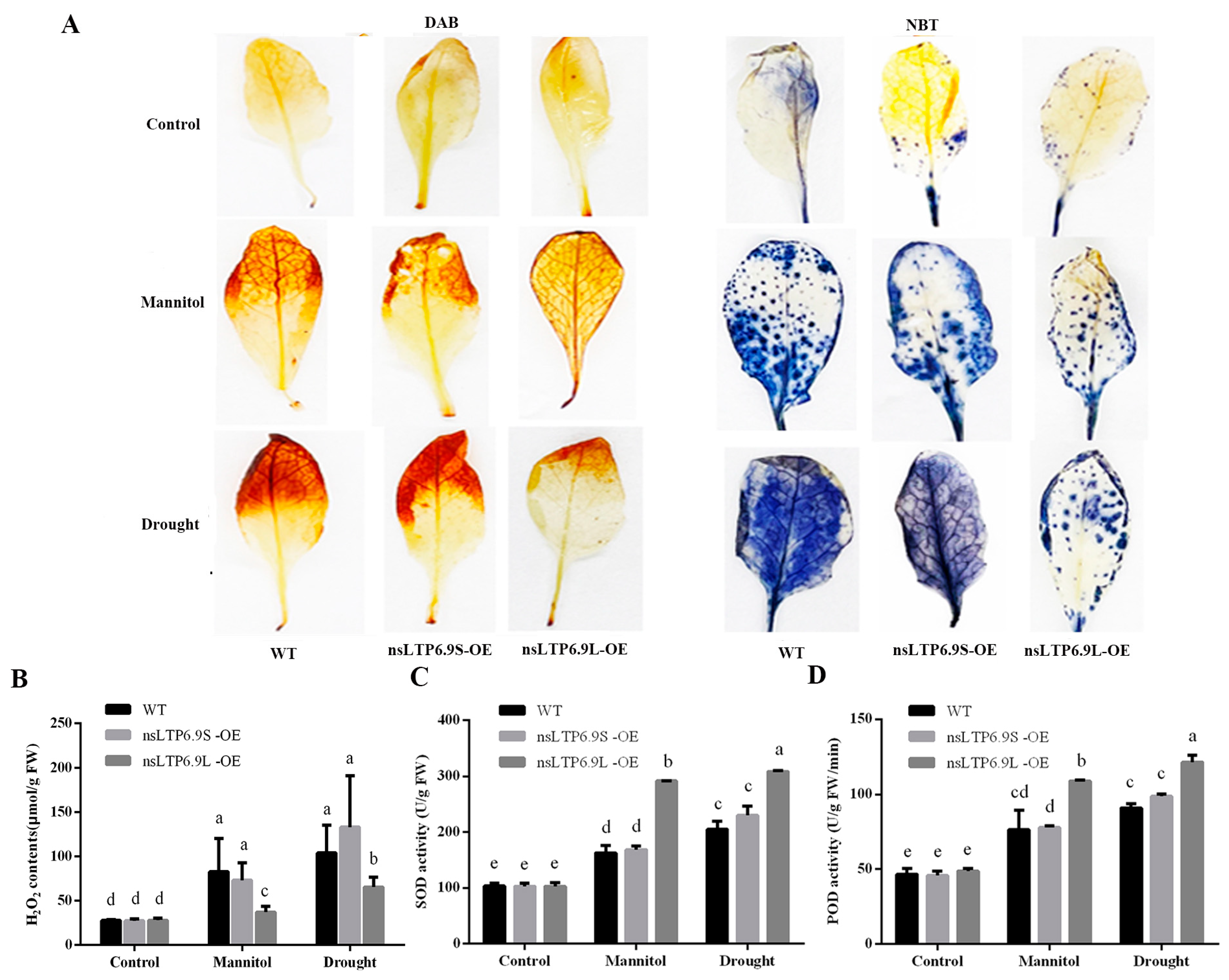 Plants 12 03916 g007