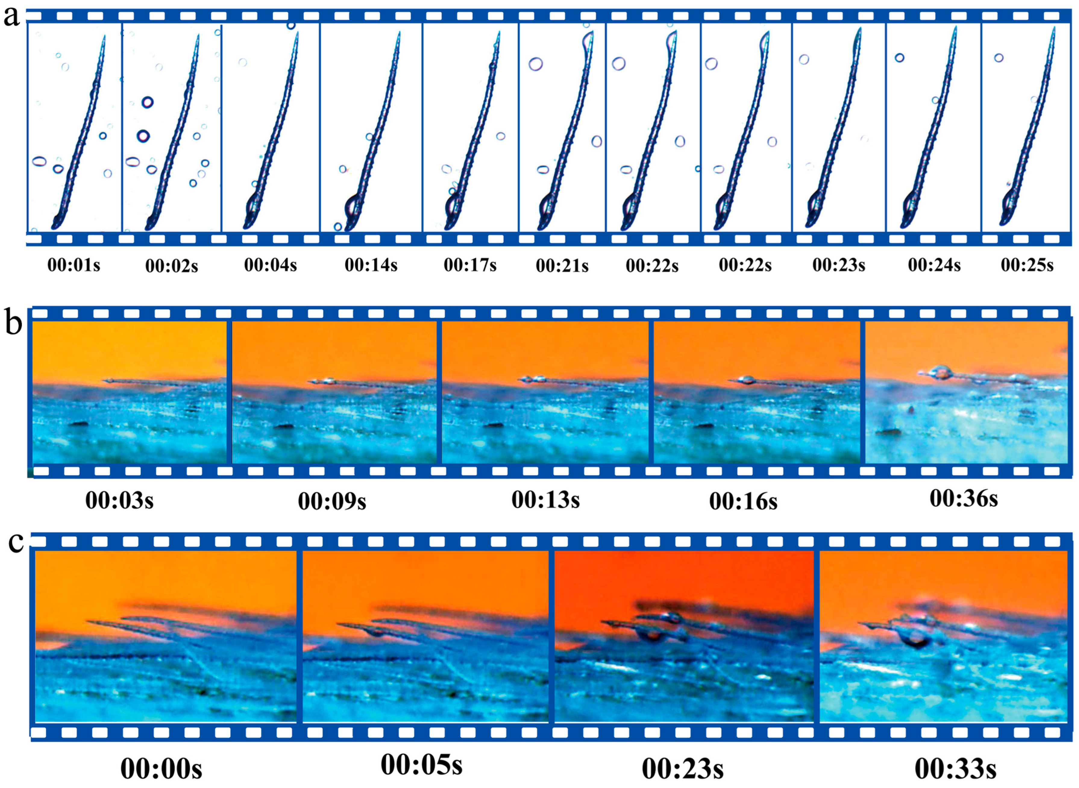 Plants 12 03922 g004 Plants 12 03922 g004