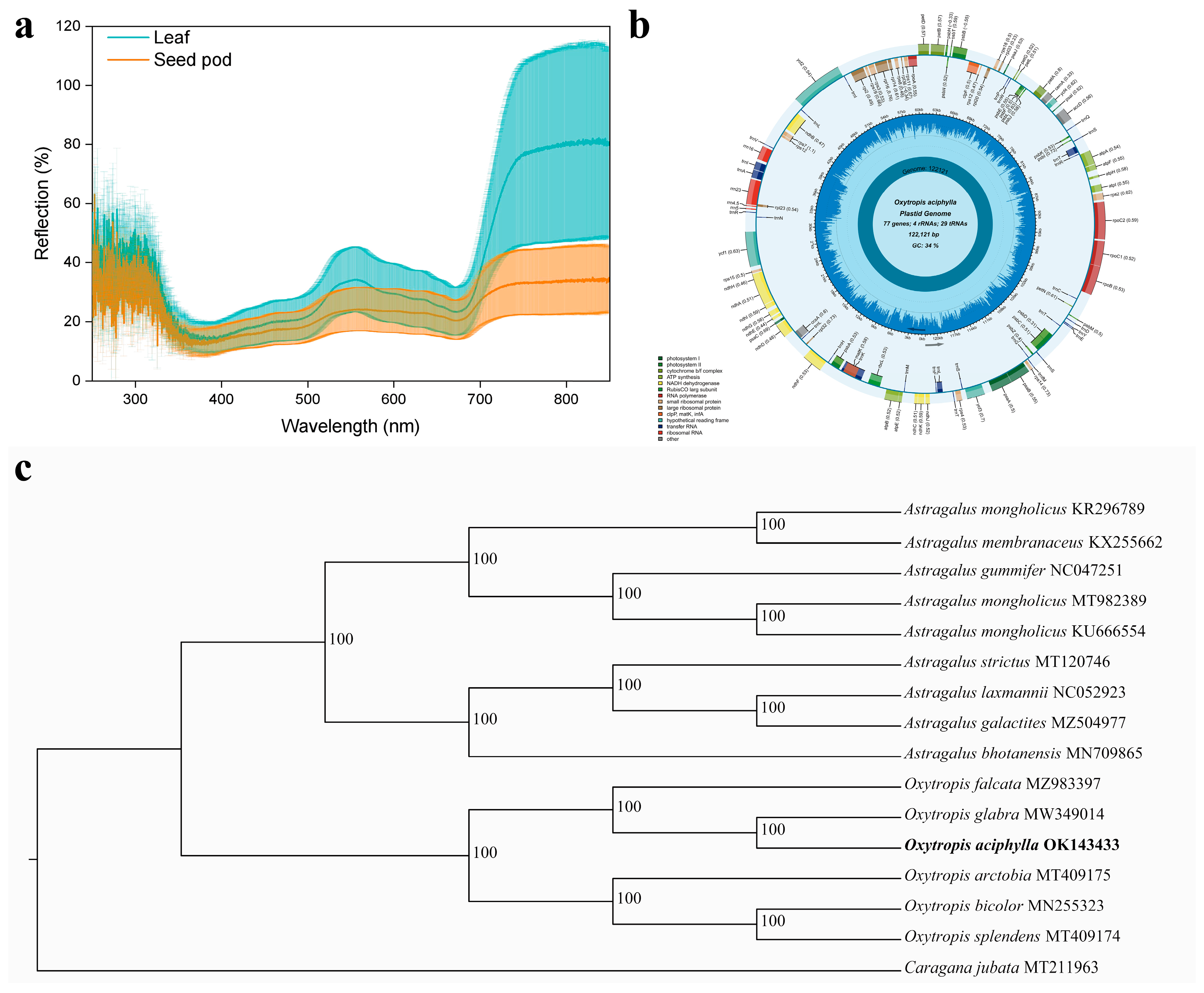 Plants 12 03922 g006 Plants 12 03922 g006