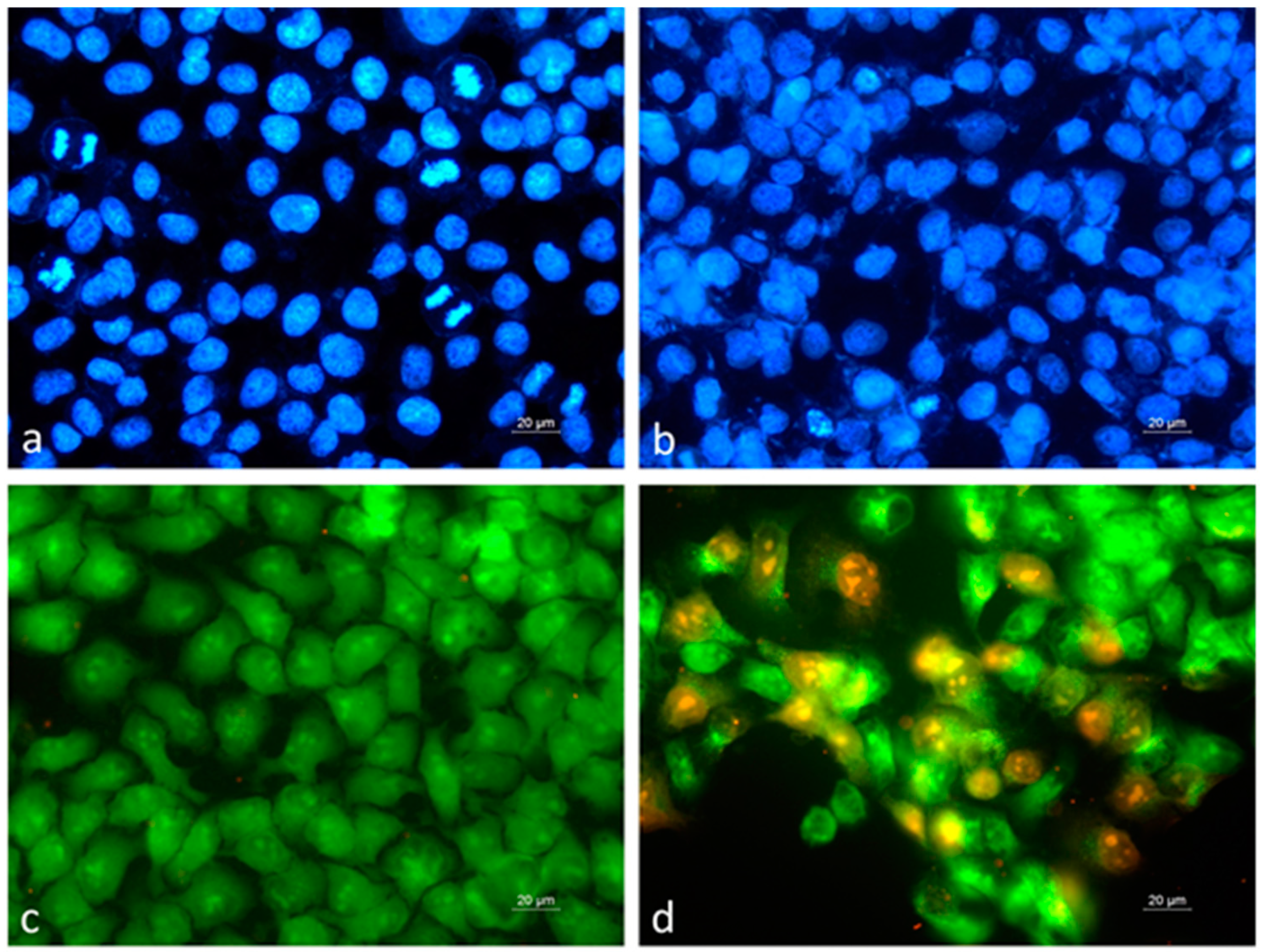 Plants 12 03924 g004