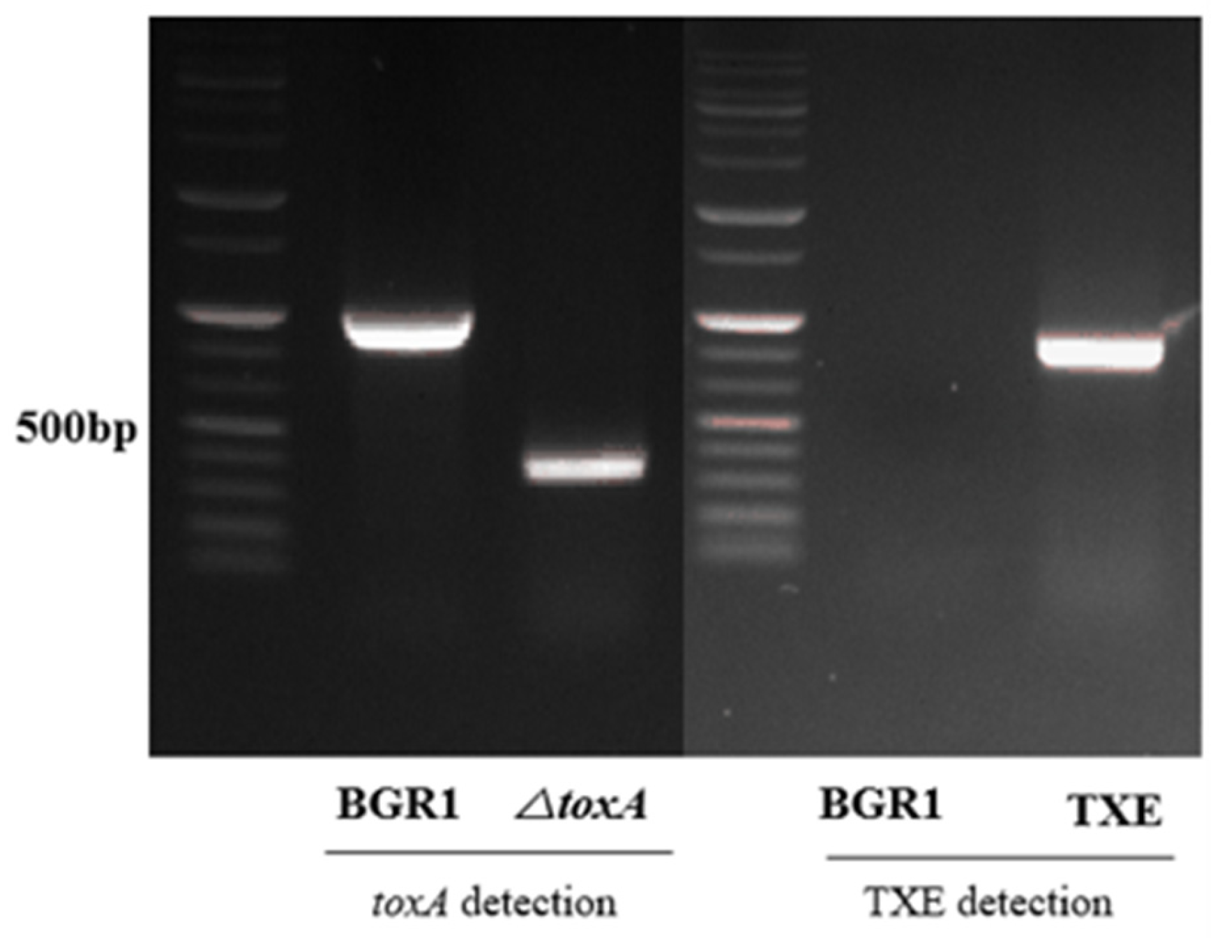 Plants 12 03934 g001