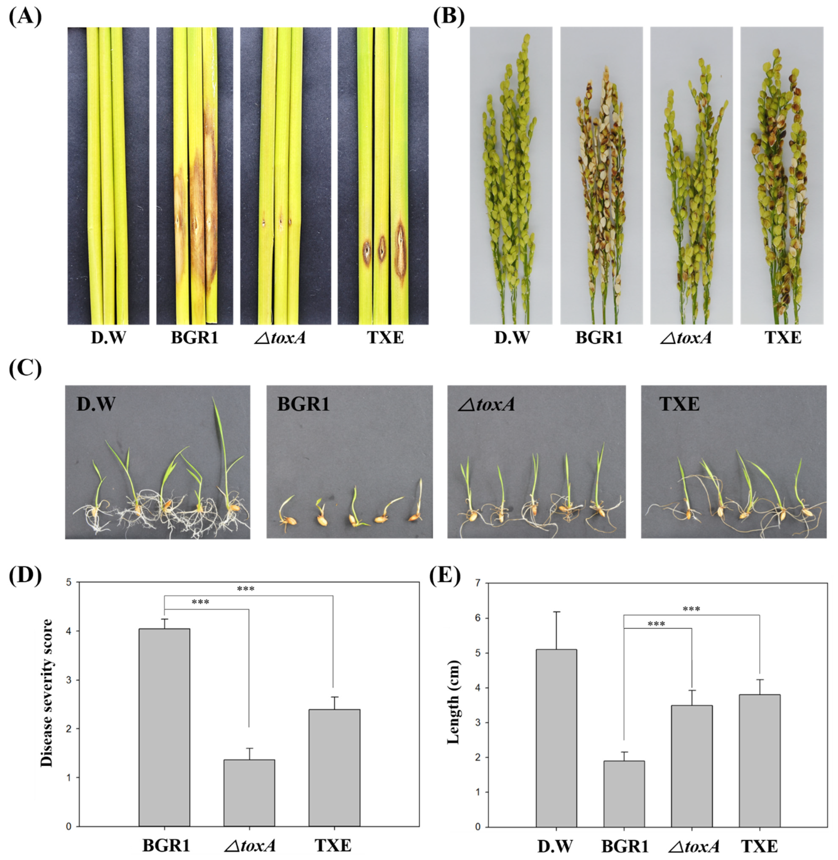 Plants 12 03934 g003