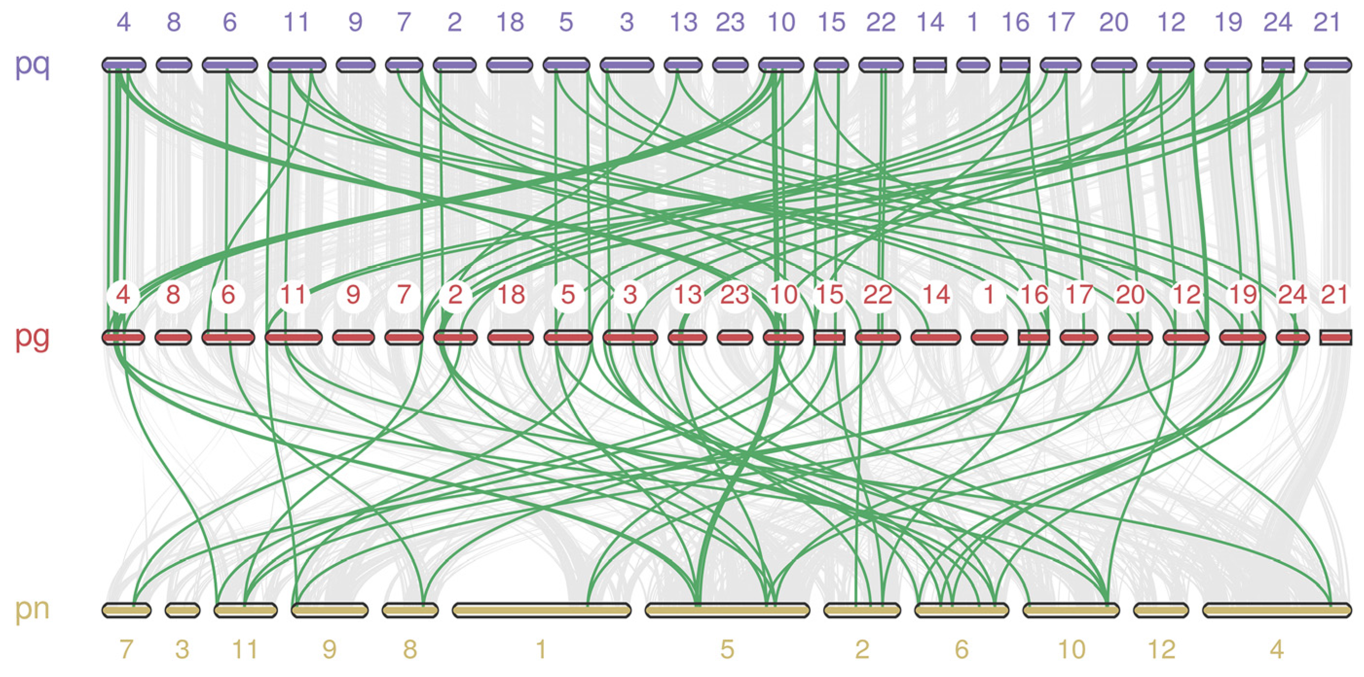 Plants 12 03943 g005