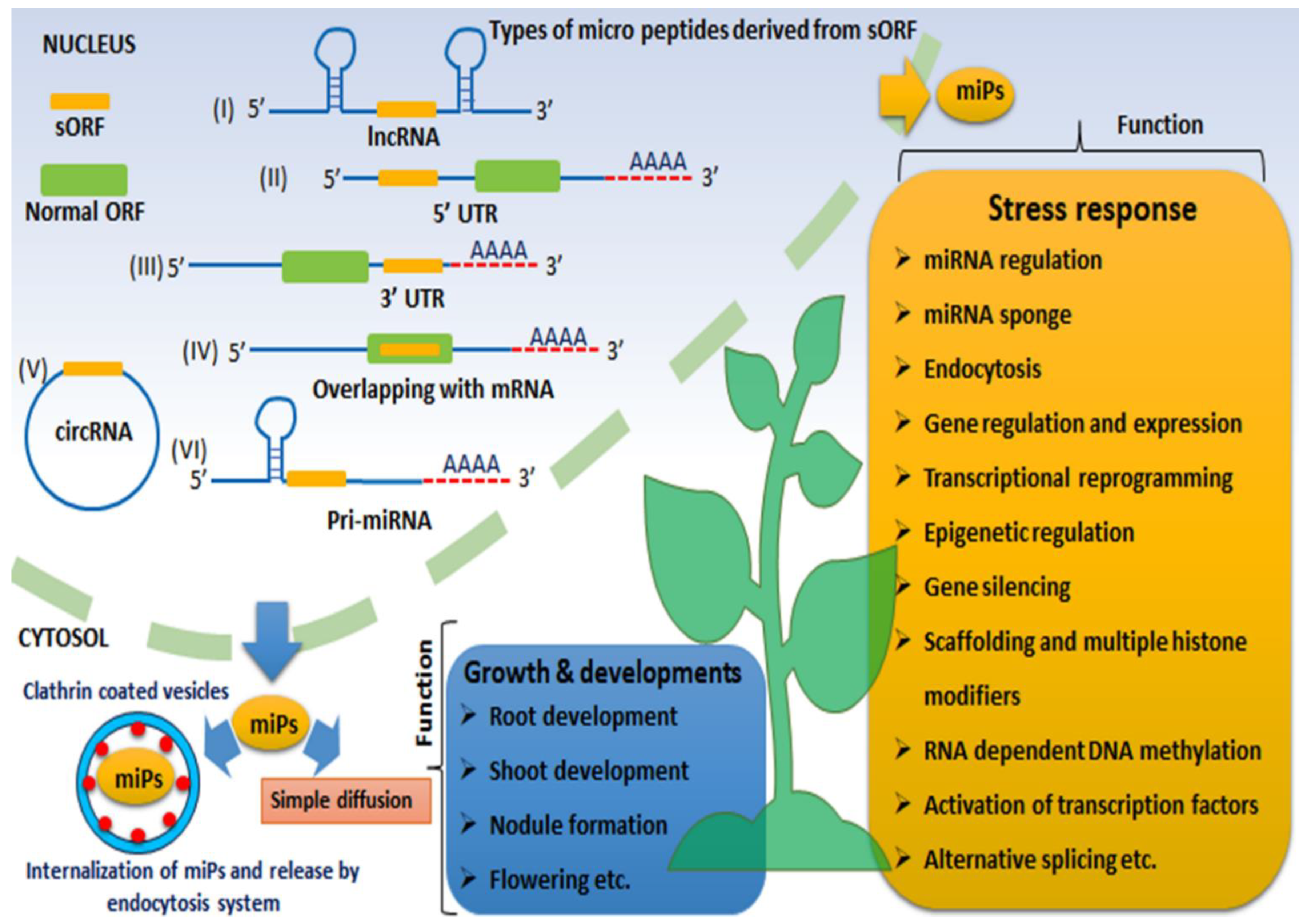 The Next Big Thing for RNA? Fixing Moldy Food