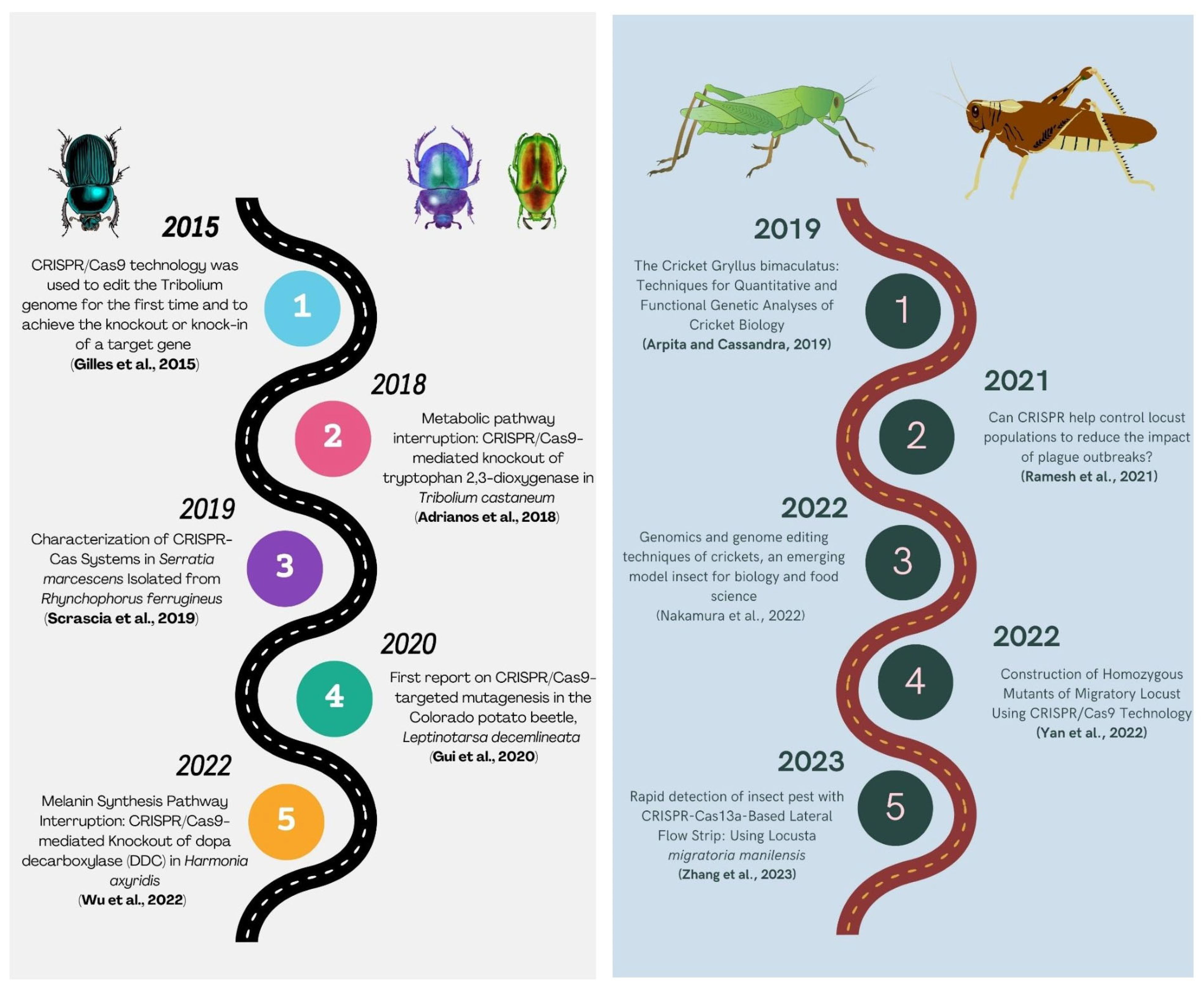 Plants 12 03961 g005 Plants 12 03961 g005