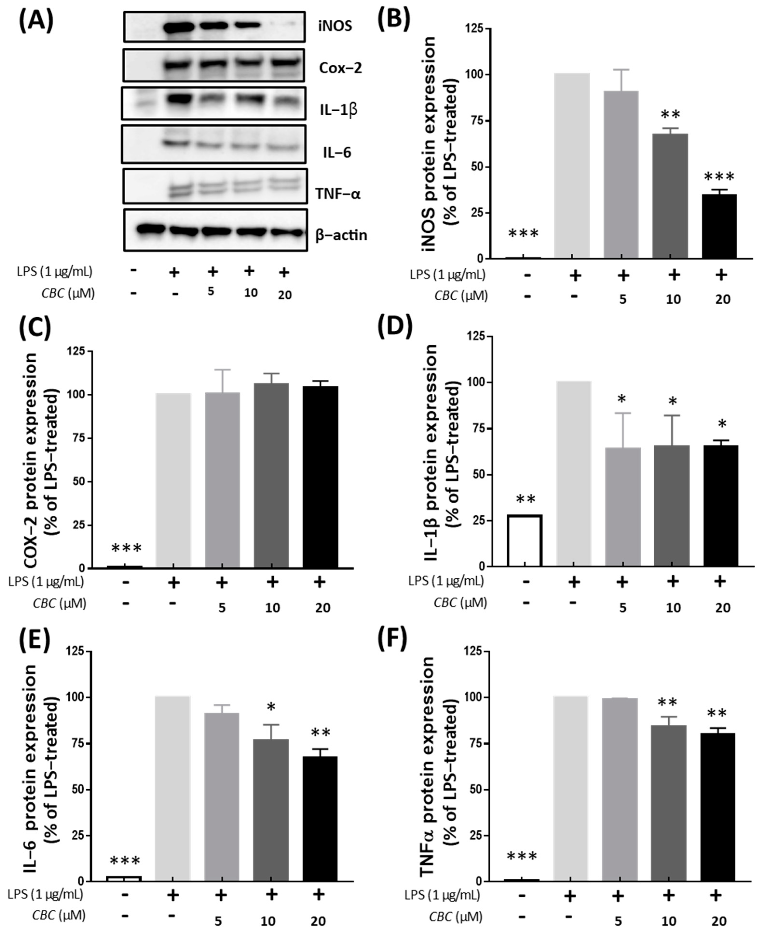 Plants 12 03966 g004