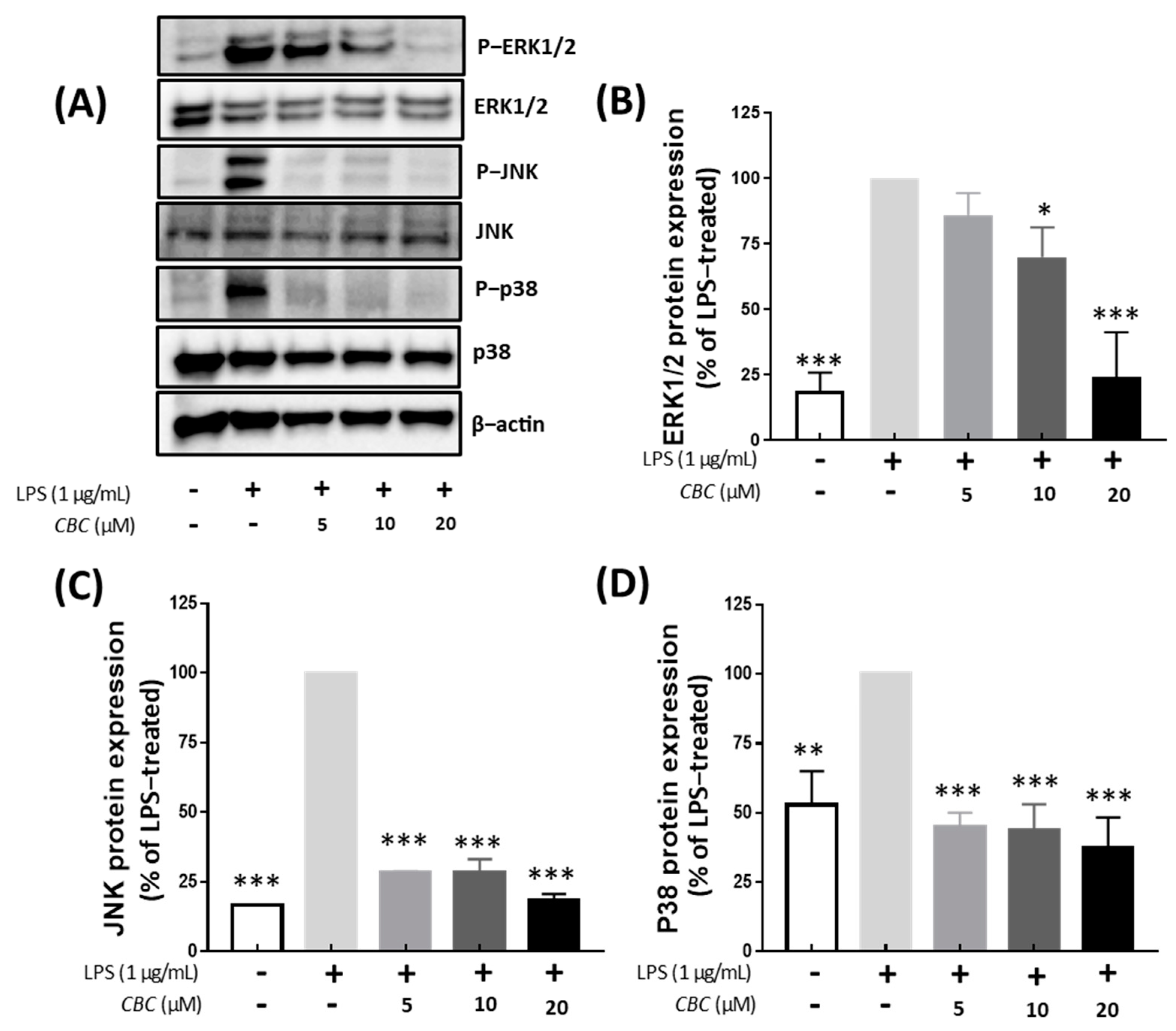 Plants 12 03966 g005