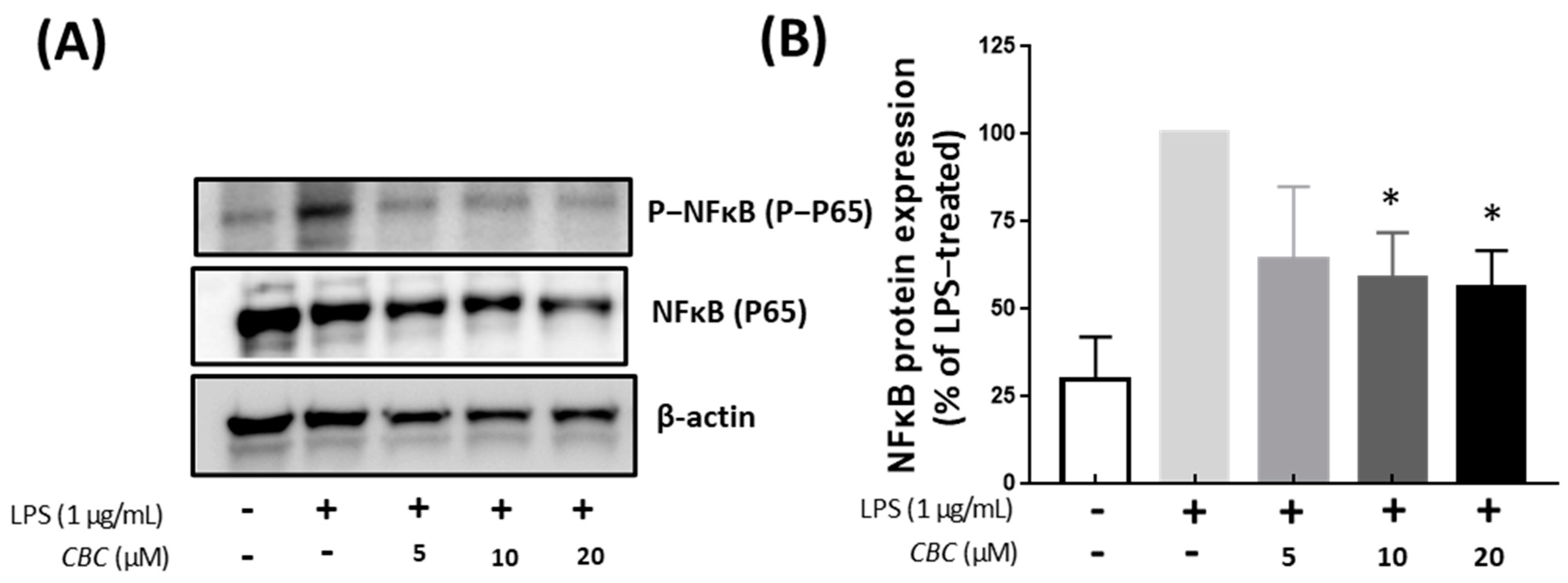 Plants 12 03966 g006