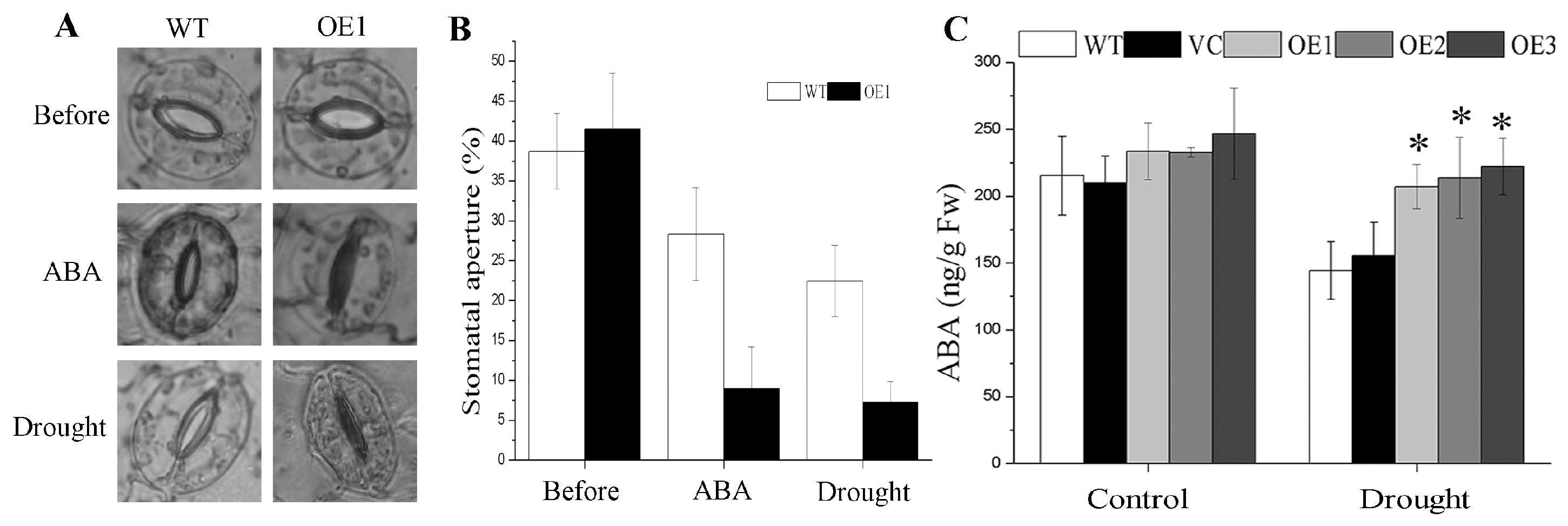 Plants 12 03975 g004 Plants 12 03975 g004