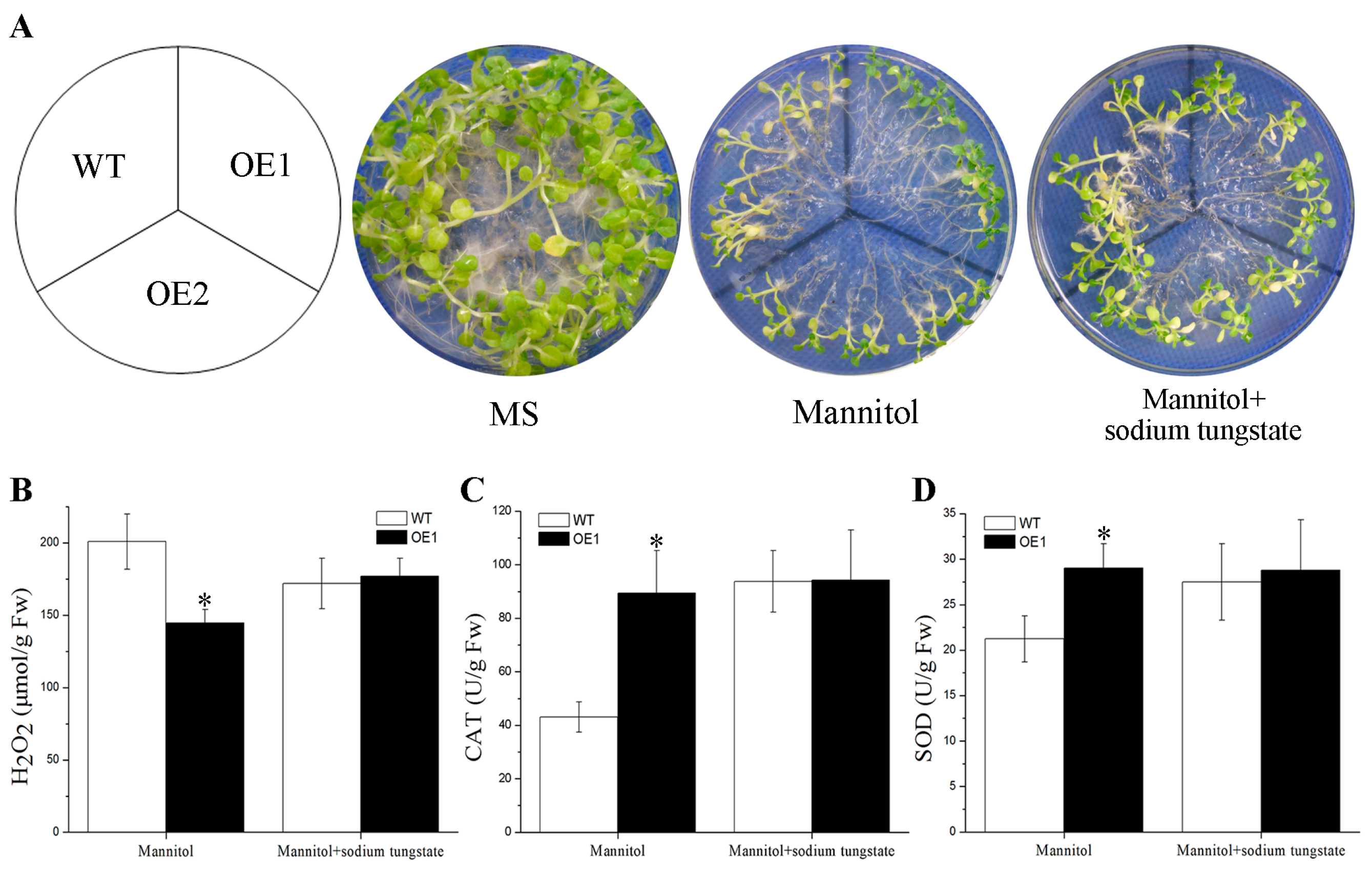 Plants 12 03975 g005 Plants 12 03975 g005