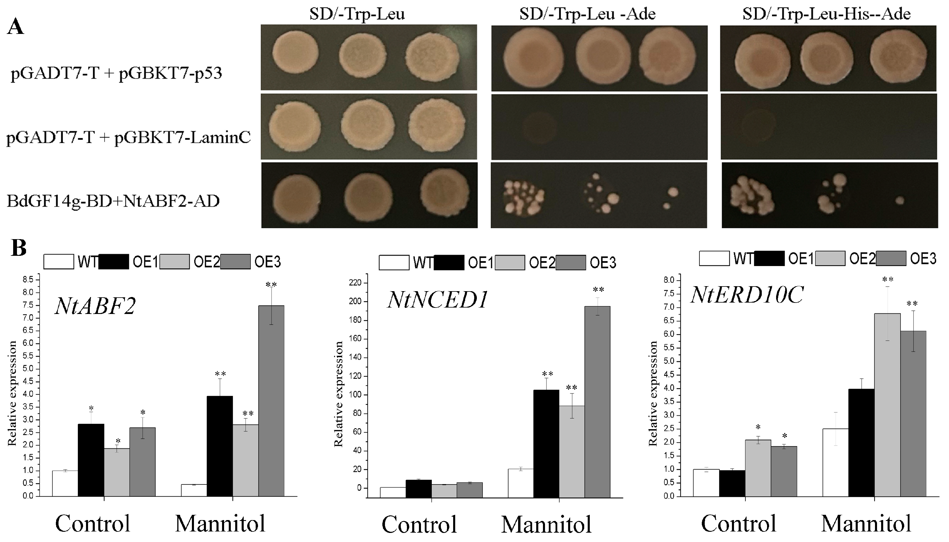 Plants 12 03975 g006 Plants 12 03975 g006
