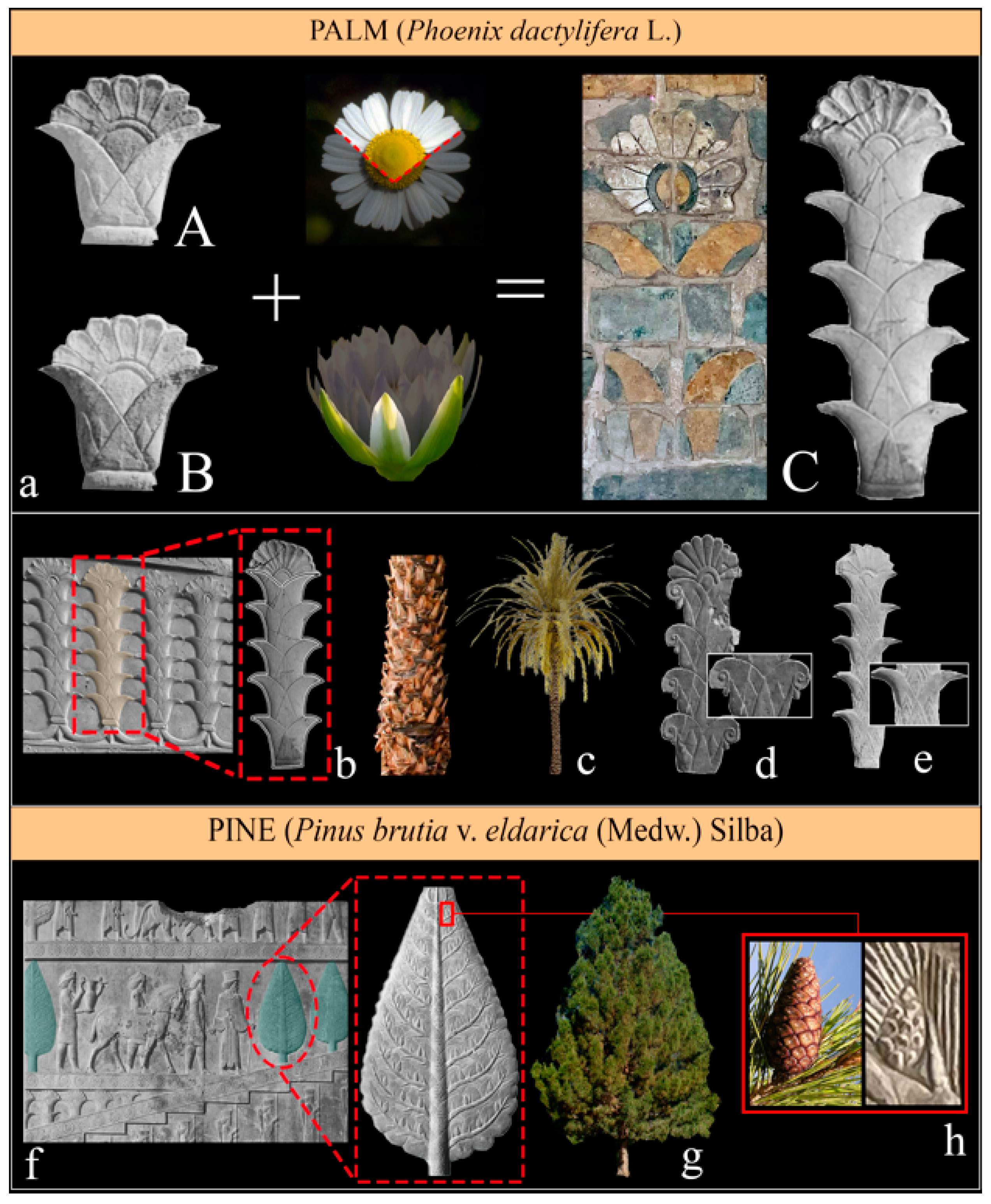 Plants | Free Full-Text | Plants as Symbols of Power in the Achaemenid ...