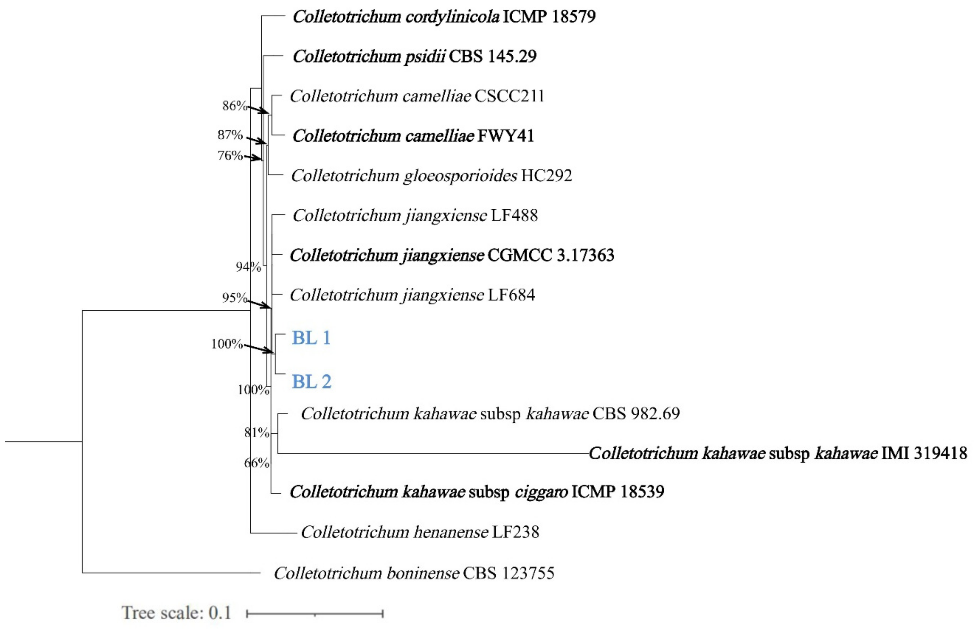 Plants 12 04001 g002