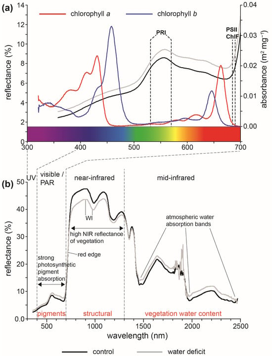 Plots of dD vs. d 18 O of plant stem water in upland (shaded/dark