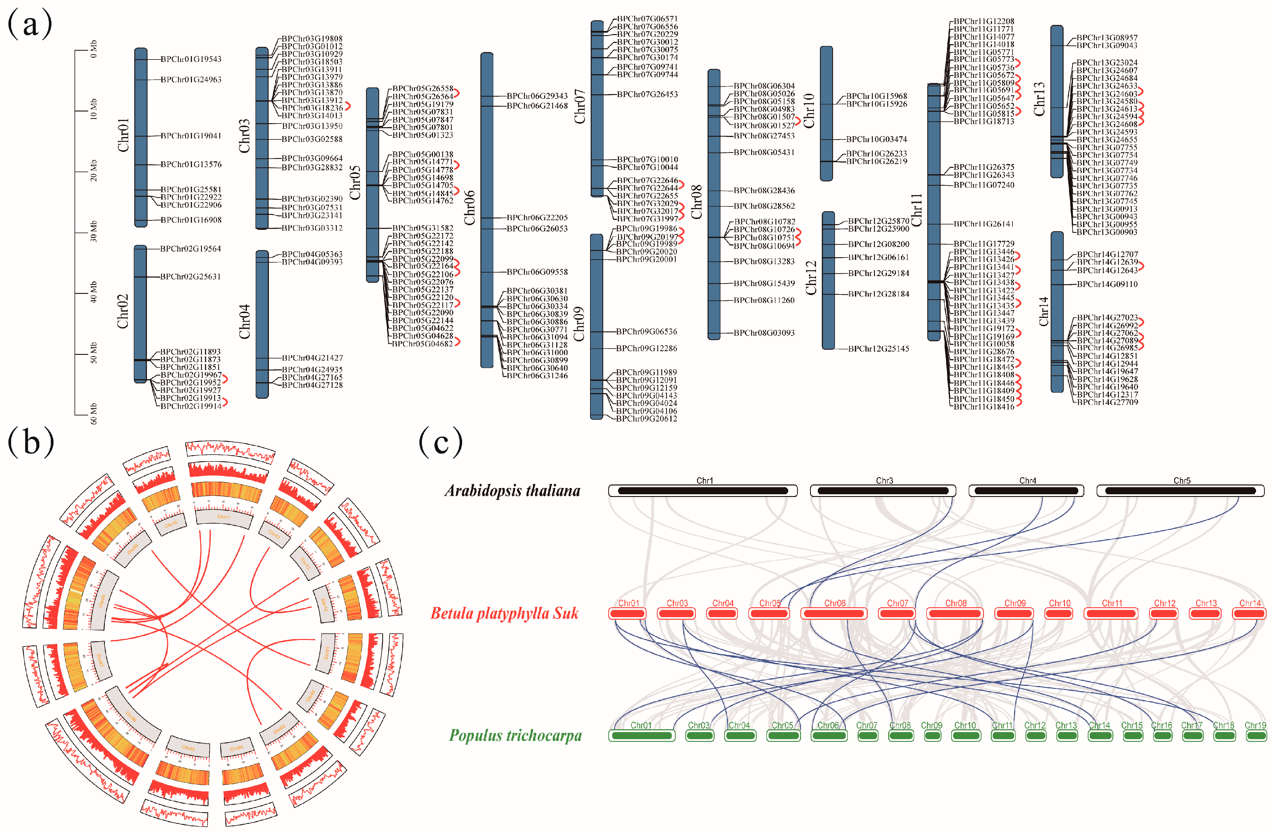 Plants 12 04018 g003