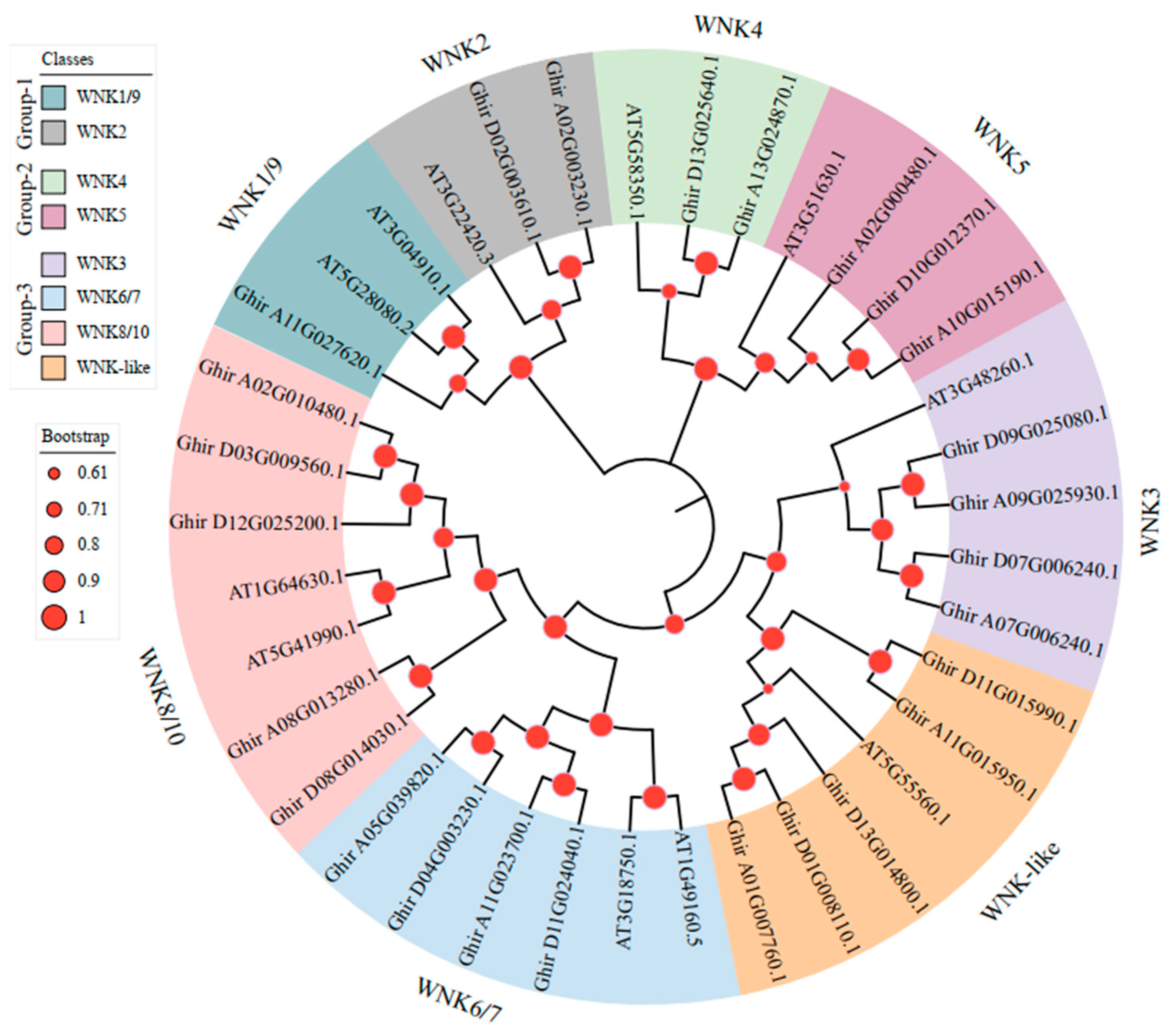Plants 12 04036 g001 Plants 12 04036 g001