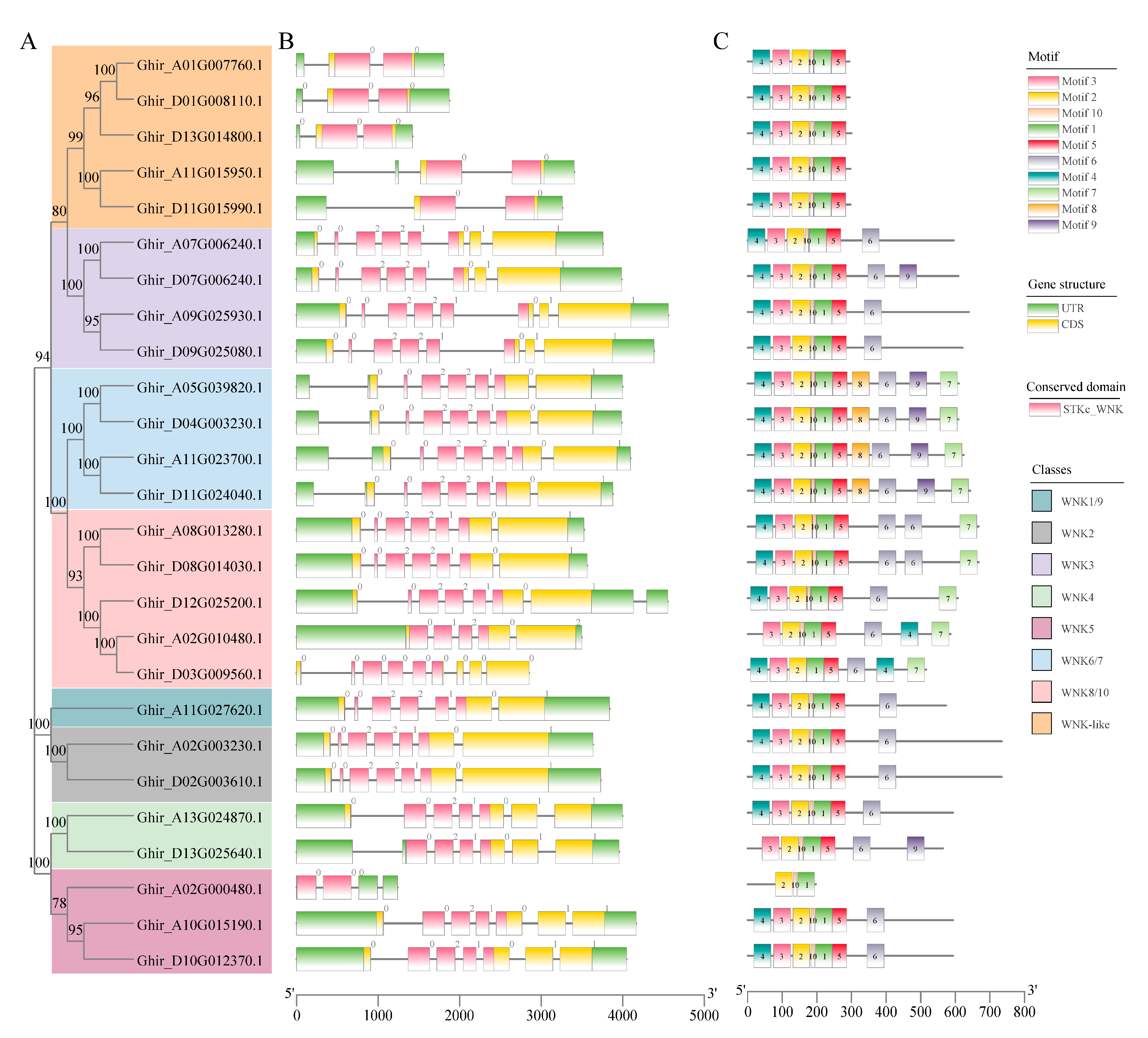 Plants 12 04036 g002 Plants 12 04036 g002