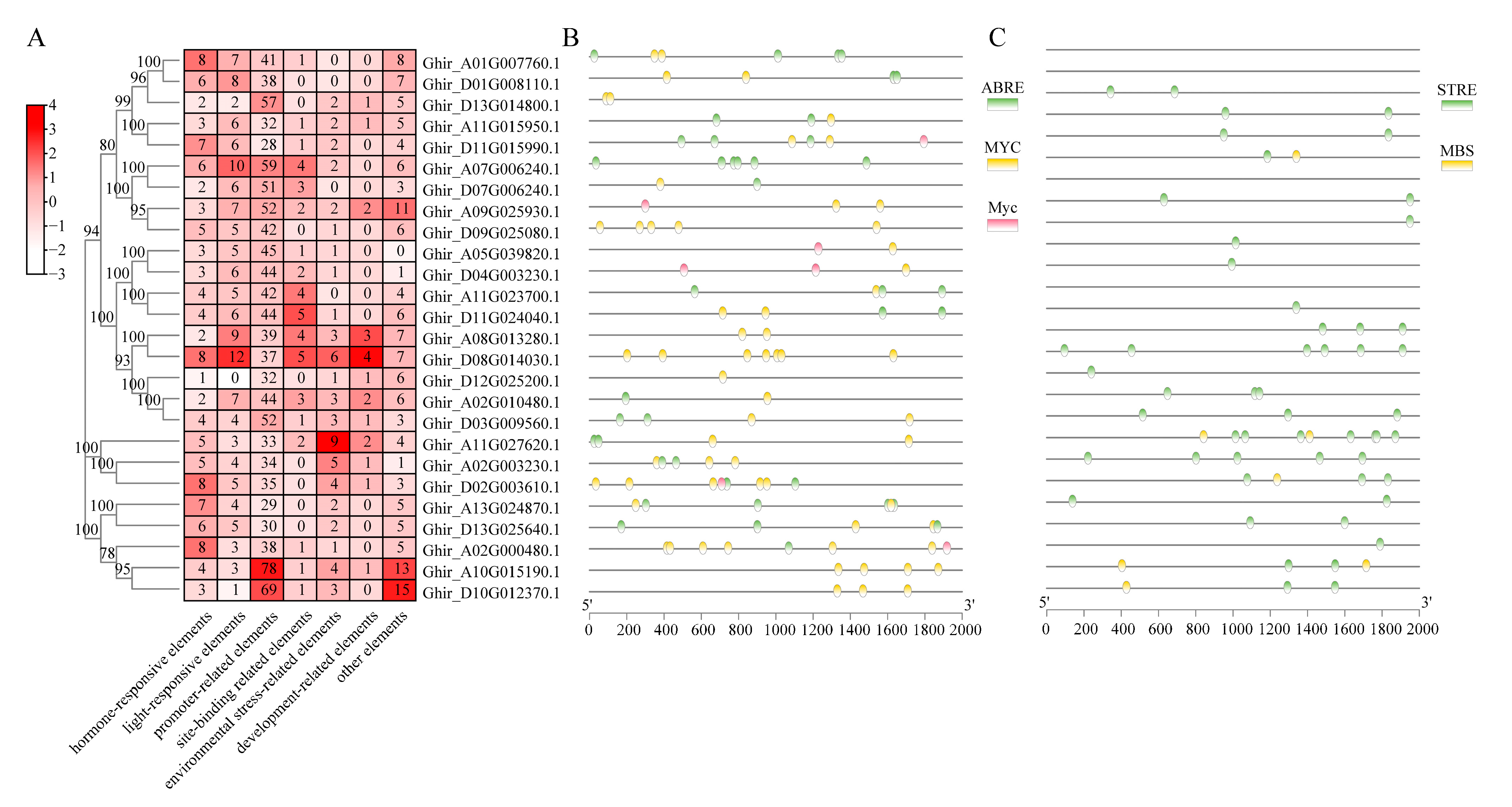 Plants 12 04036 g003 Plants 12 04036 g003