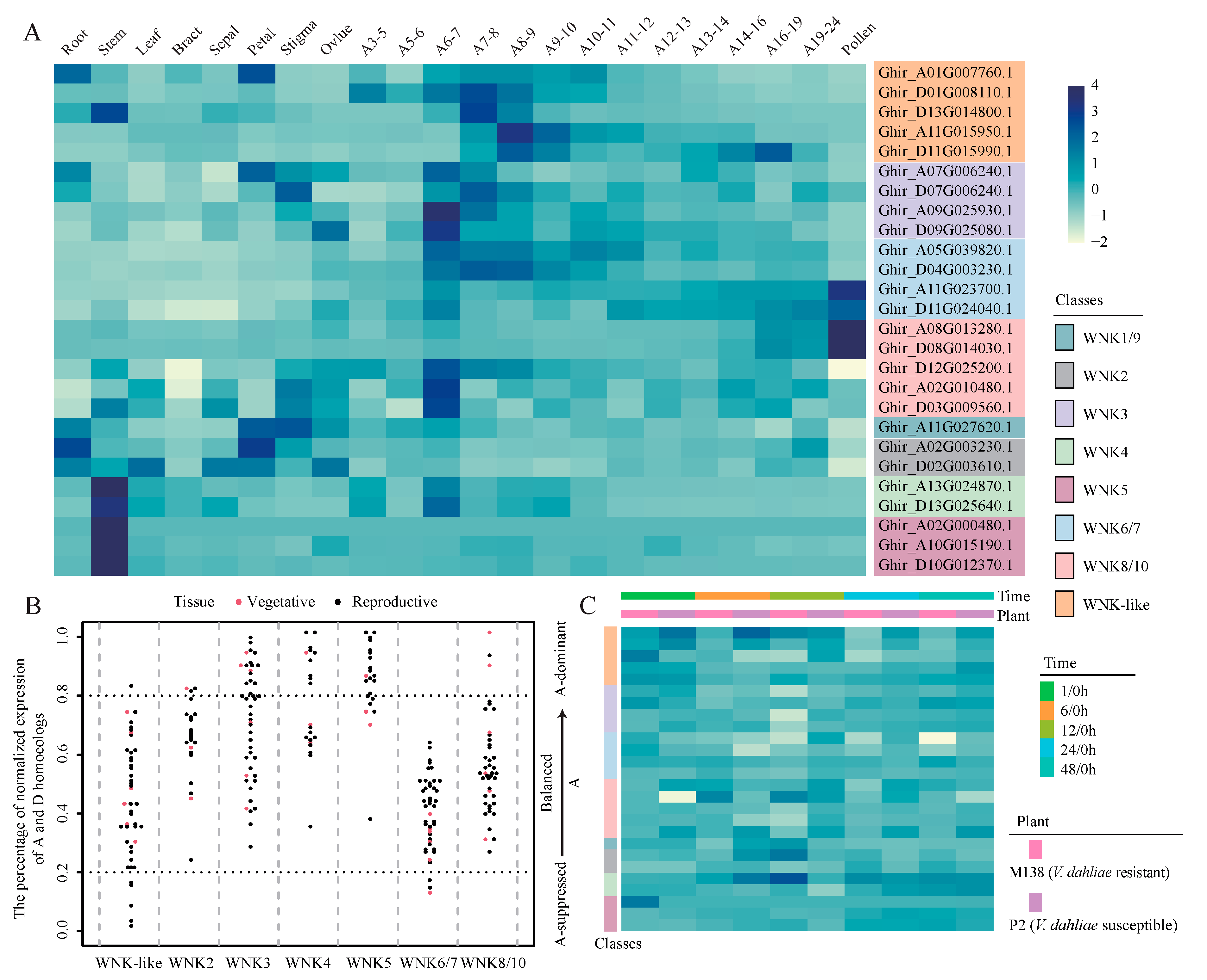 Plants 12 04036 g005 Plants 12 04036 g005