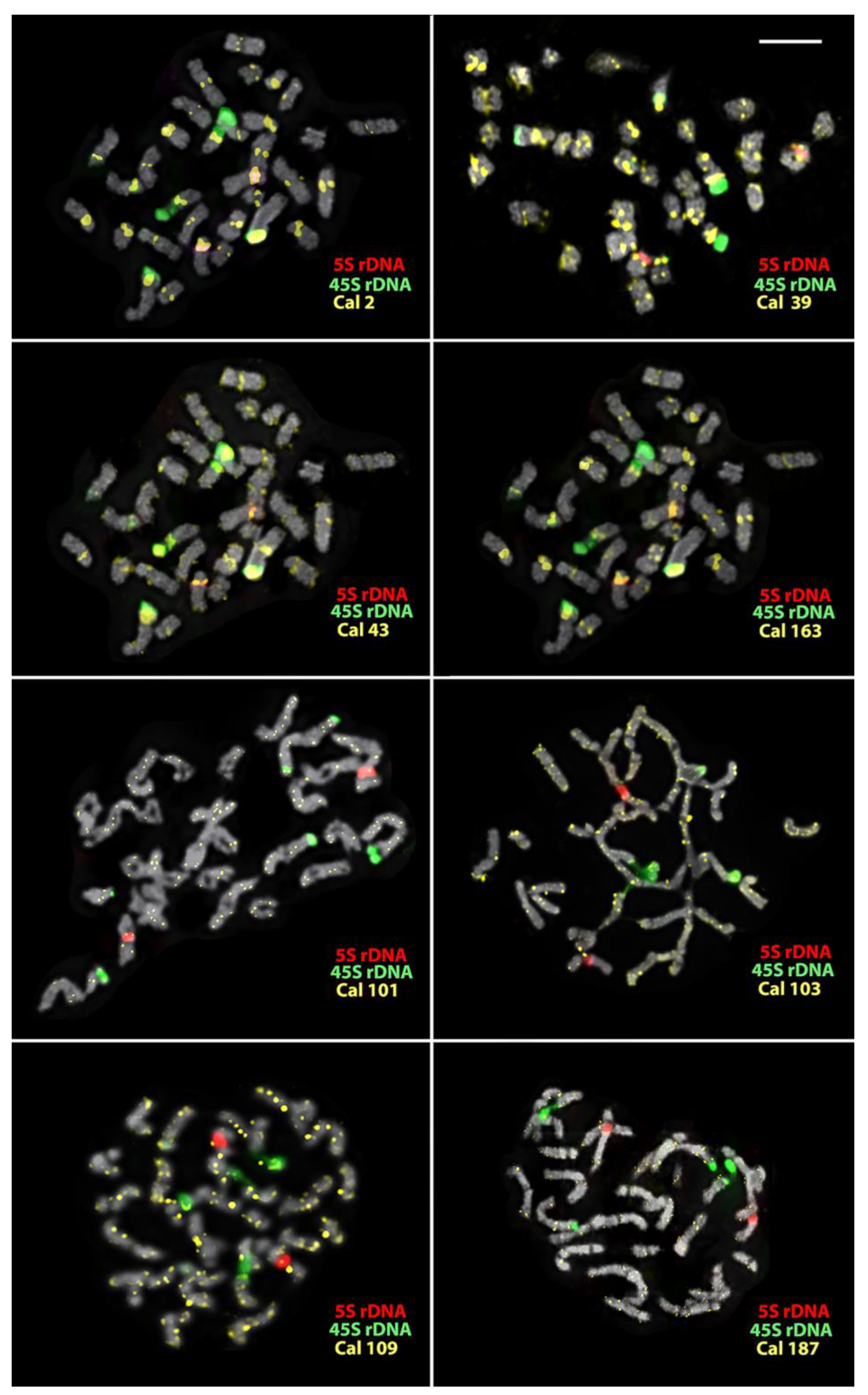 Plants 12 04056 g002
