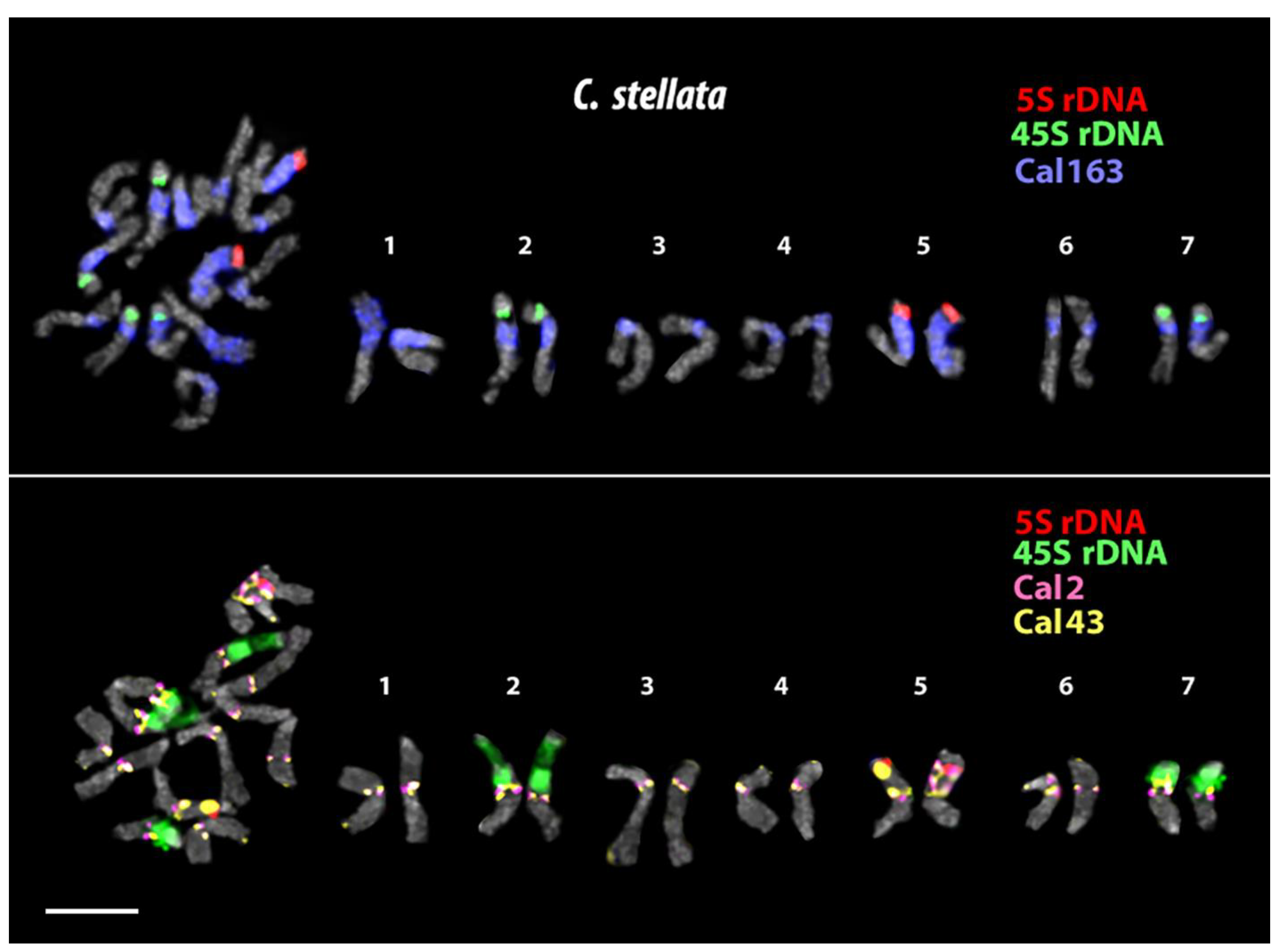 Plants 12 04056 g005