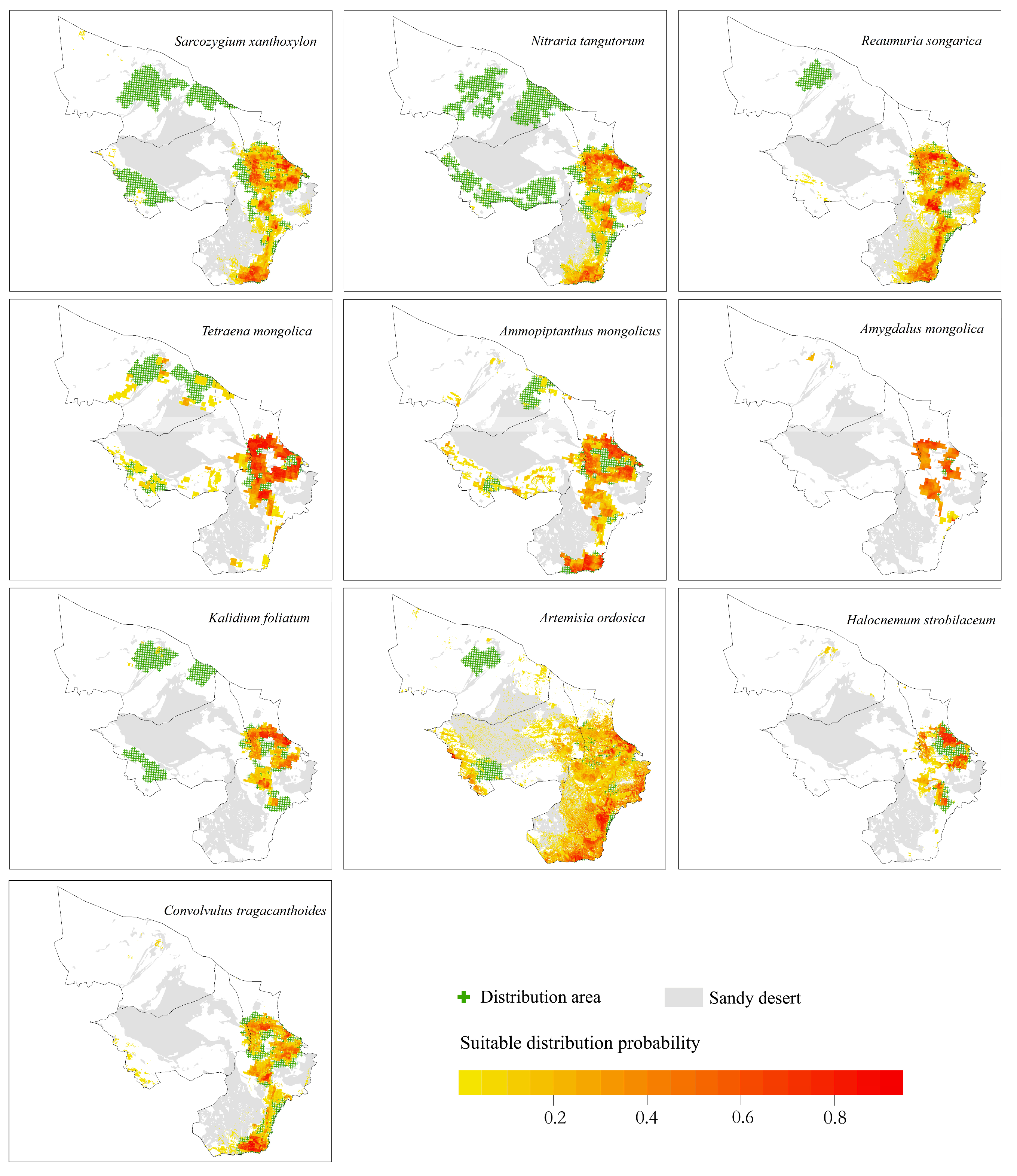 Plants 12 04065 g004 Plants 12 04065 g004