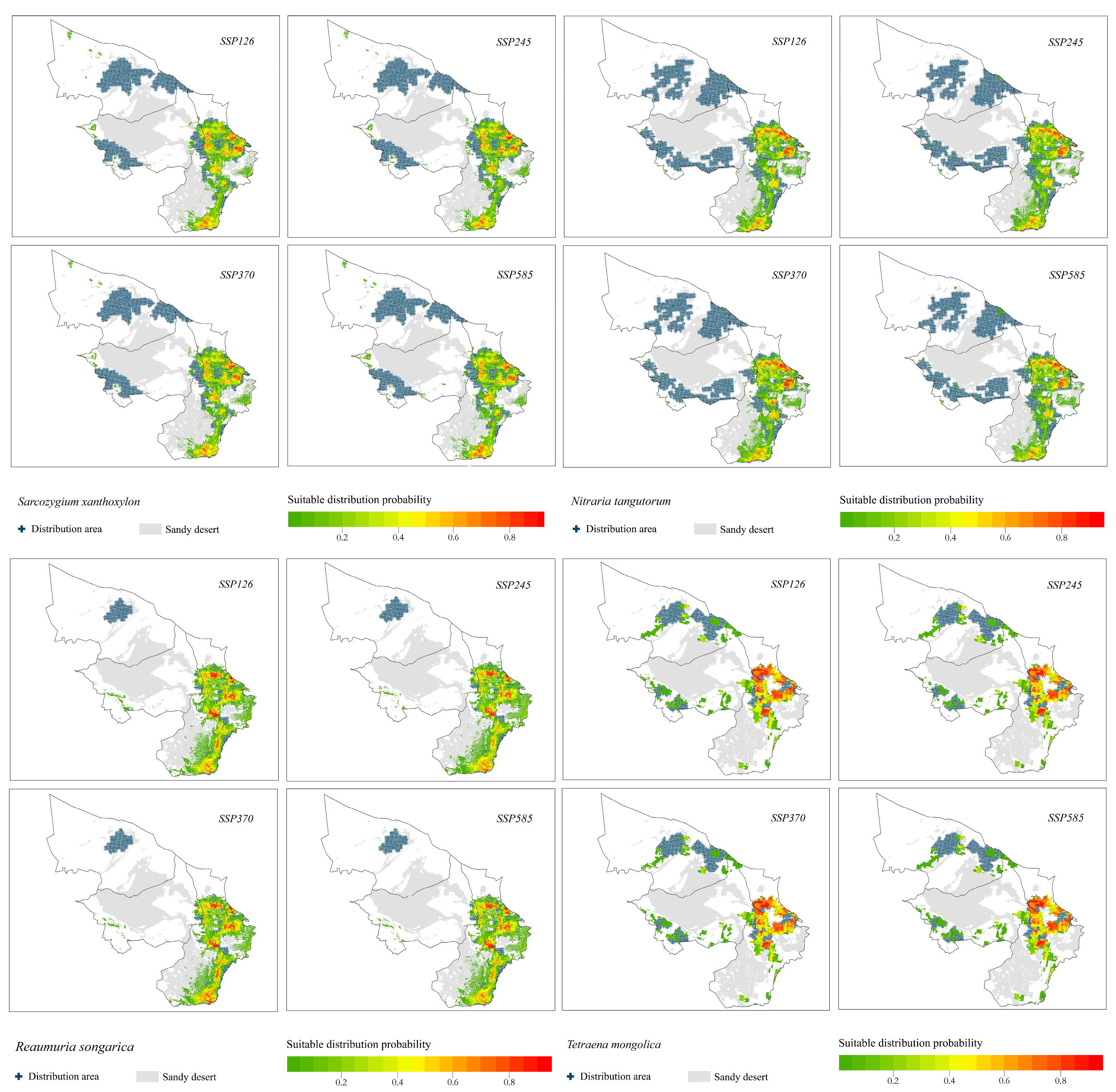 Plants 12 04065 g005a Plants 12 04065 g005a