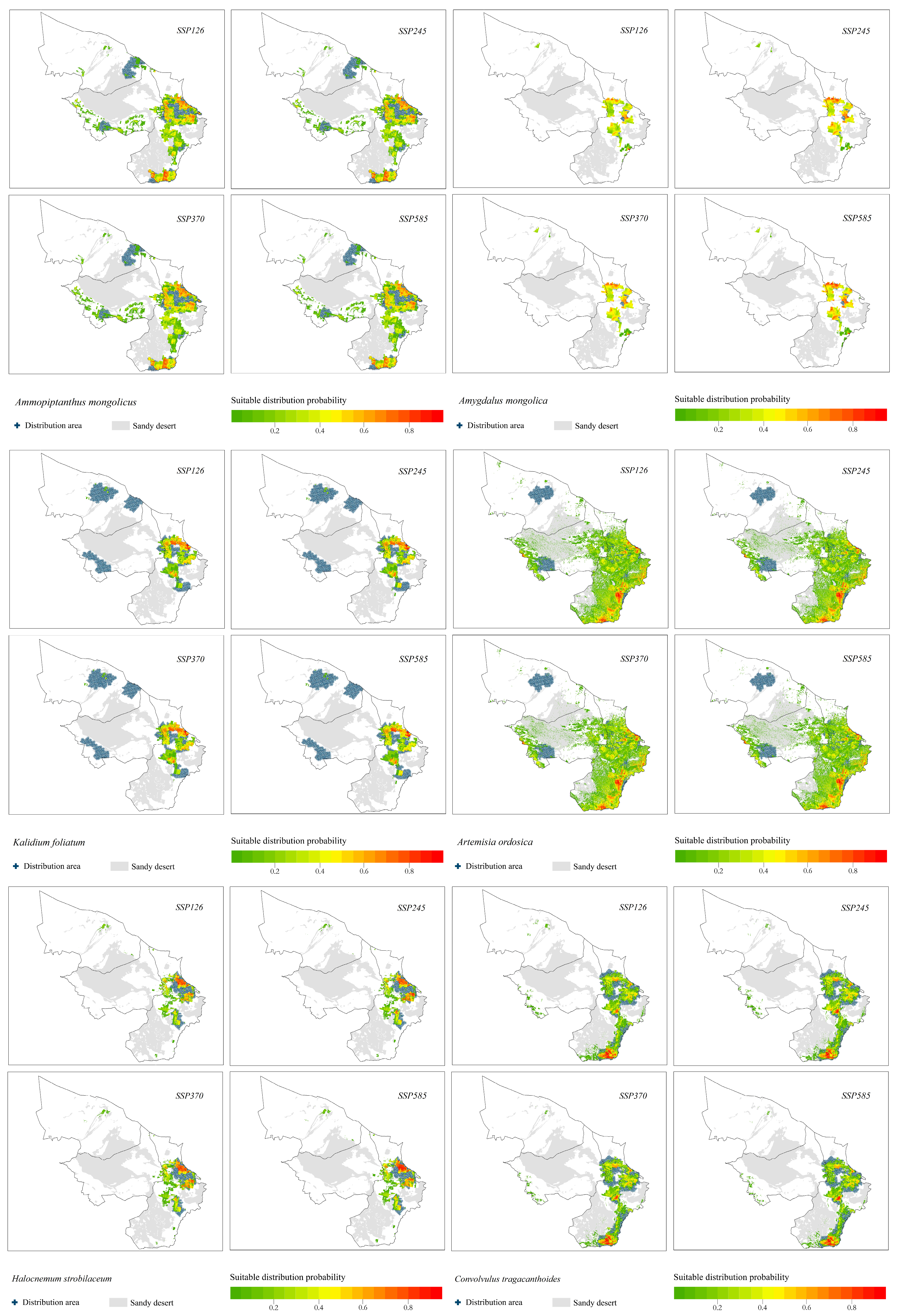 Plants 12 04065 g005b Plants 12 04065 g005b