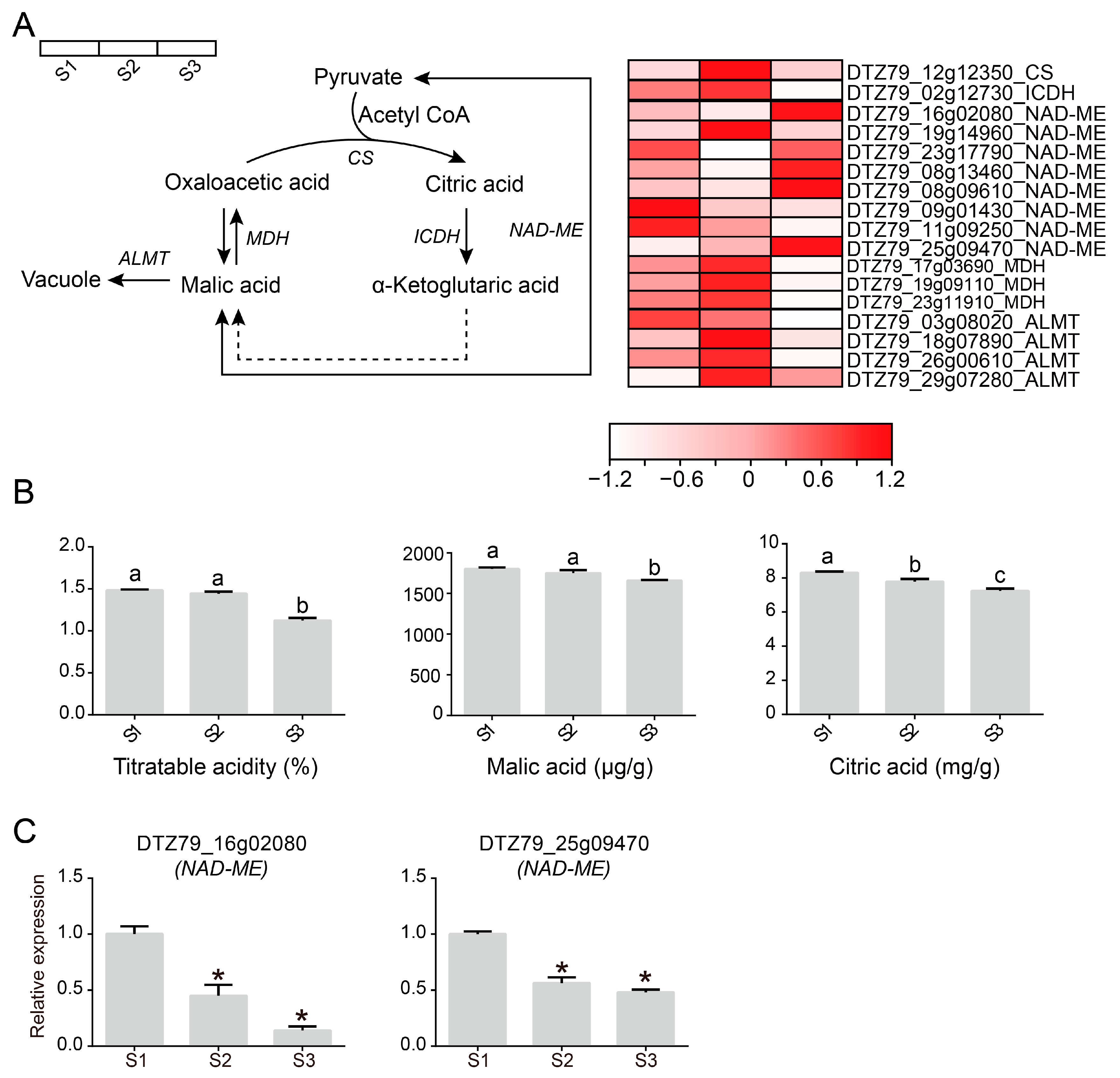 Plants 12 04079 g007