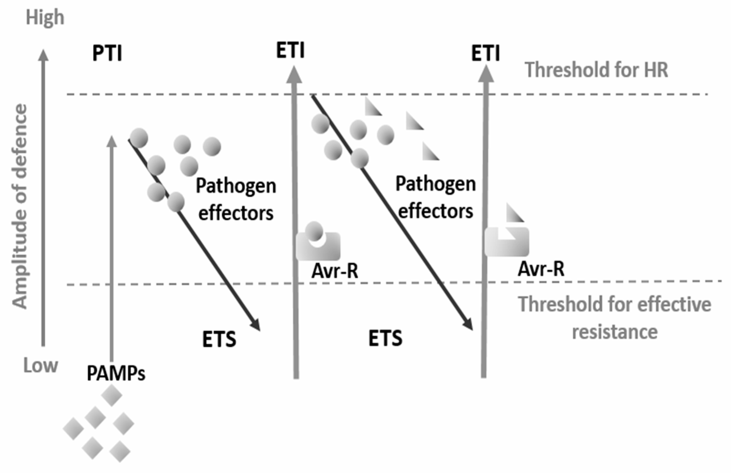 Plants 12 04082 g002 Plants 12 04082 g002